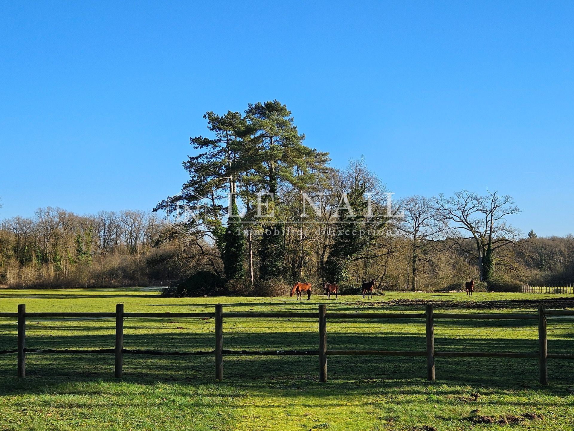 château 14 pièces en vente à TOURS (37000)