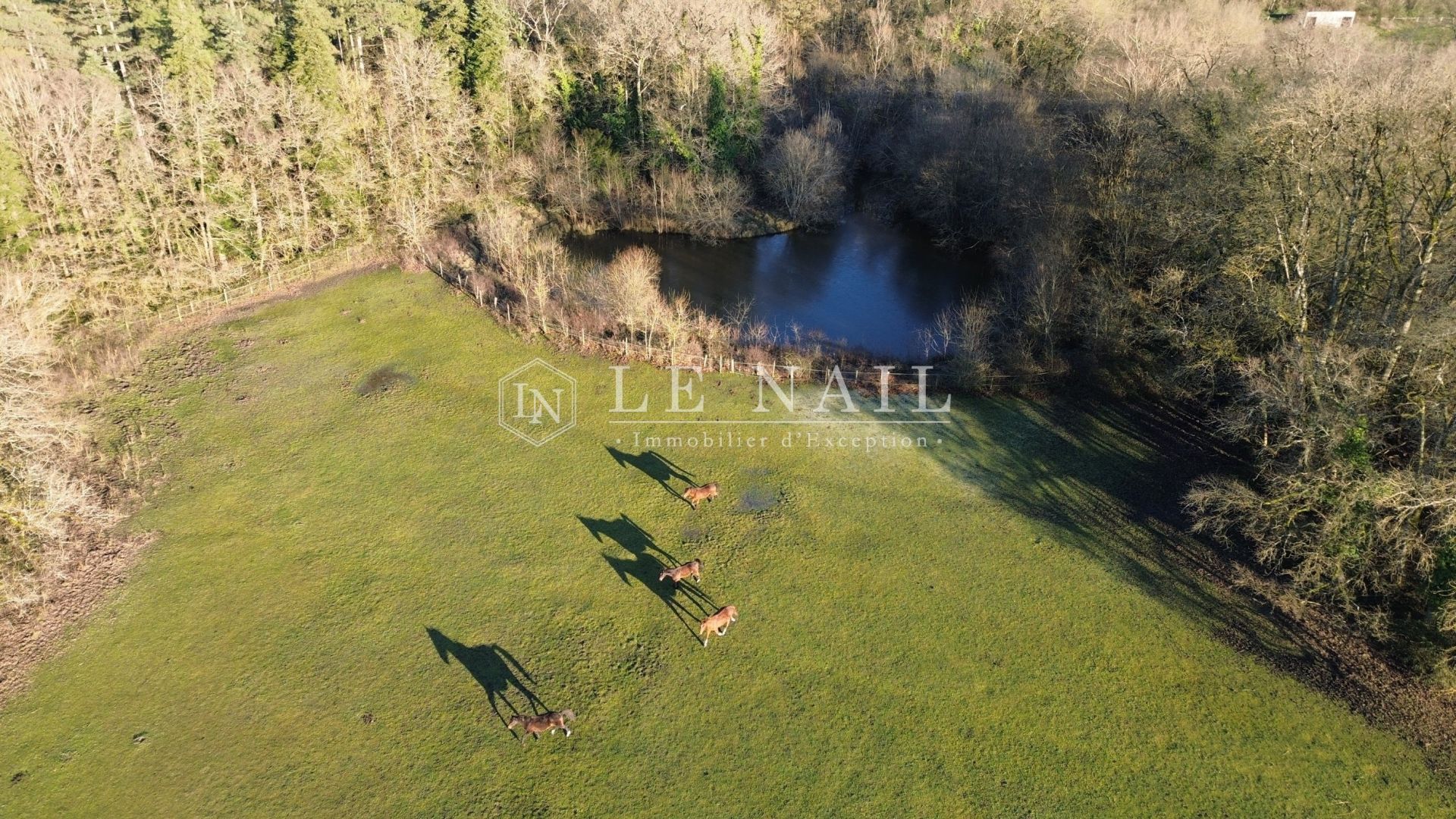 château 14 pièces en vente à TOURS (37000)