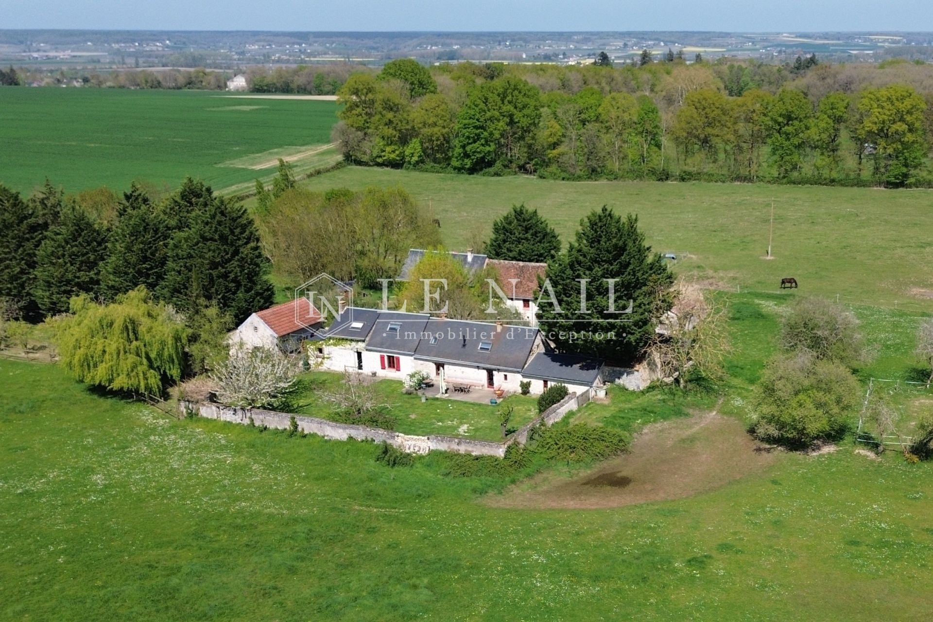 house 14 rooms for sale on CHINON (37500)