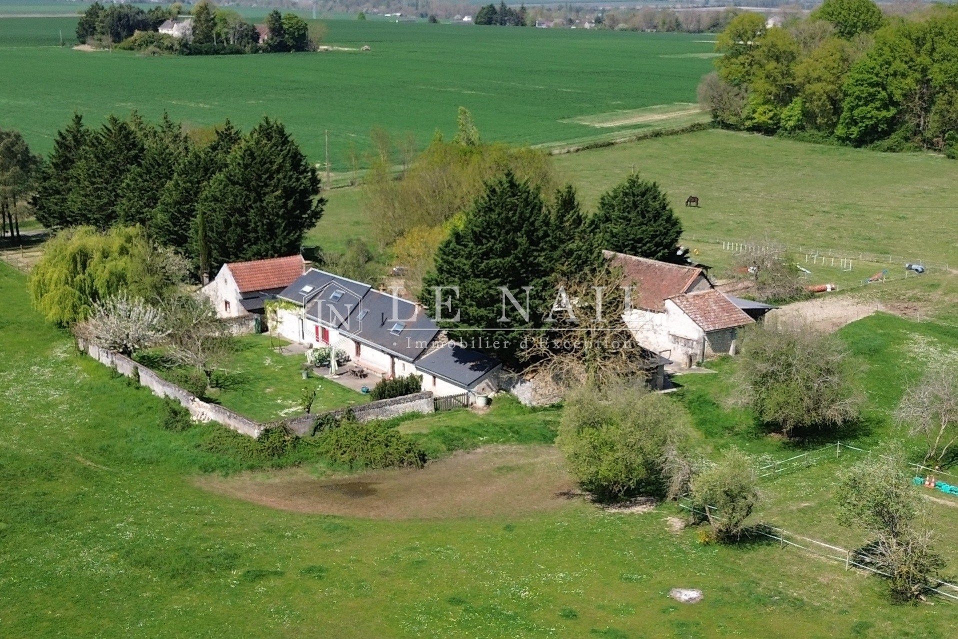 house 14 rooms for sale on CHINON (37500)