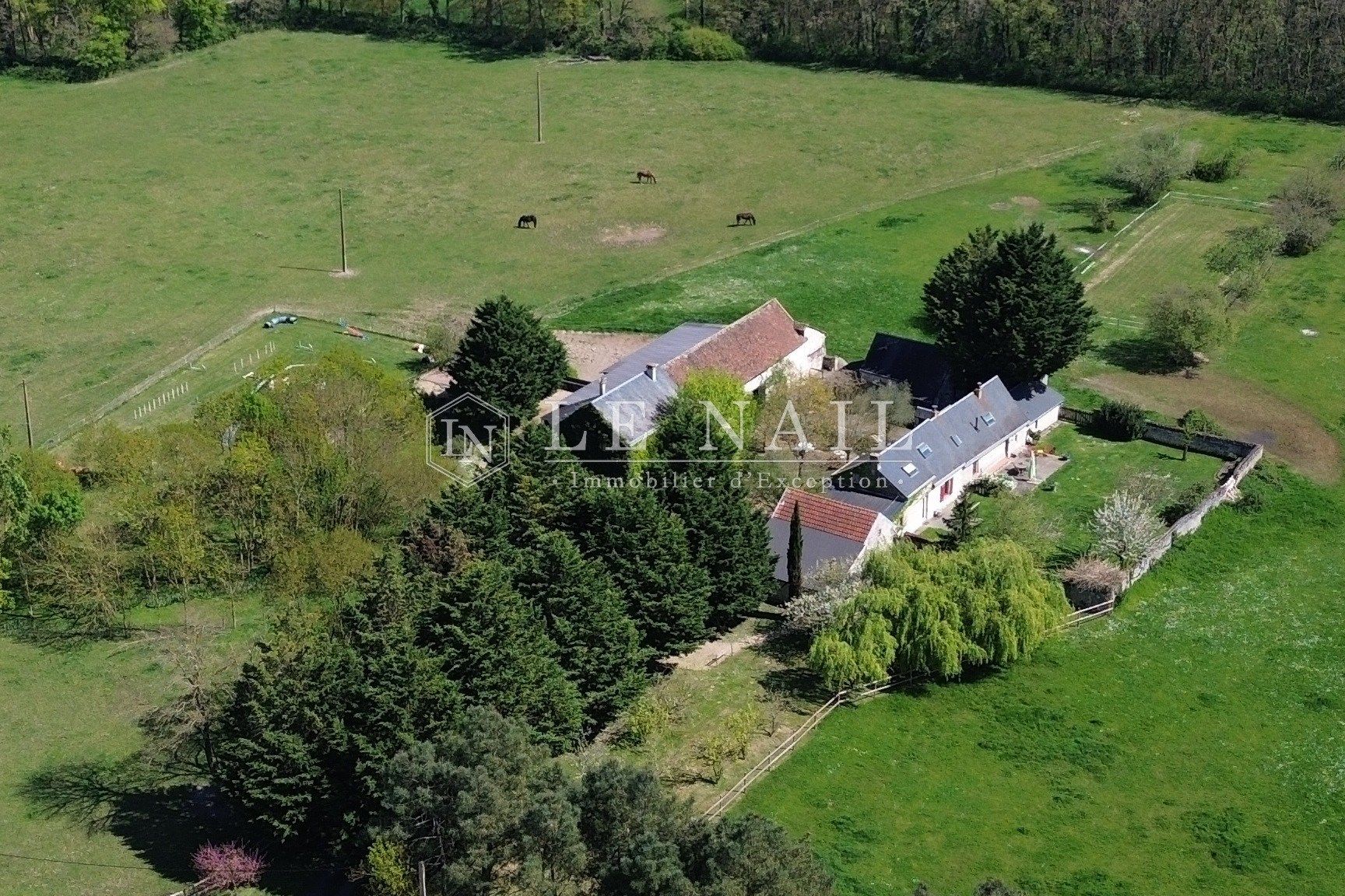 house 14 rooms for sale on CHINON (37500)