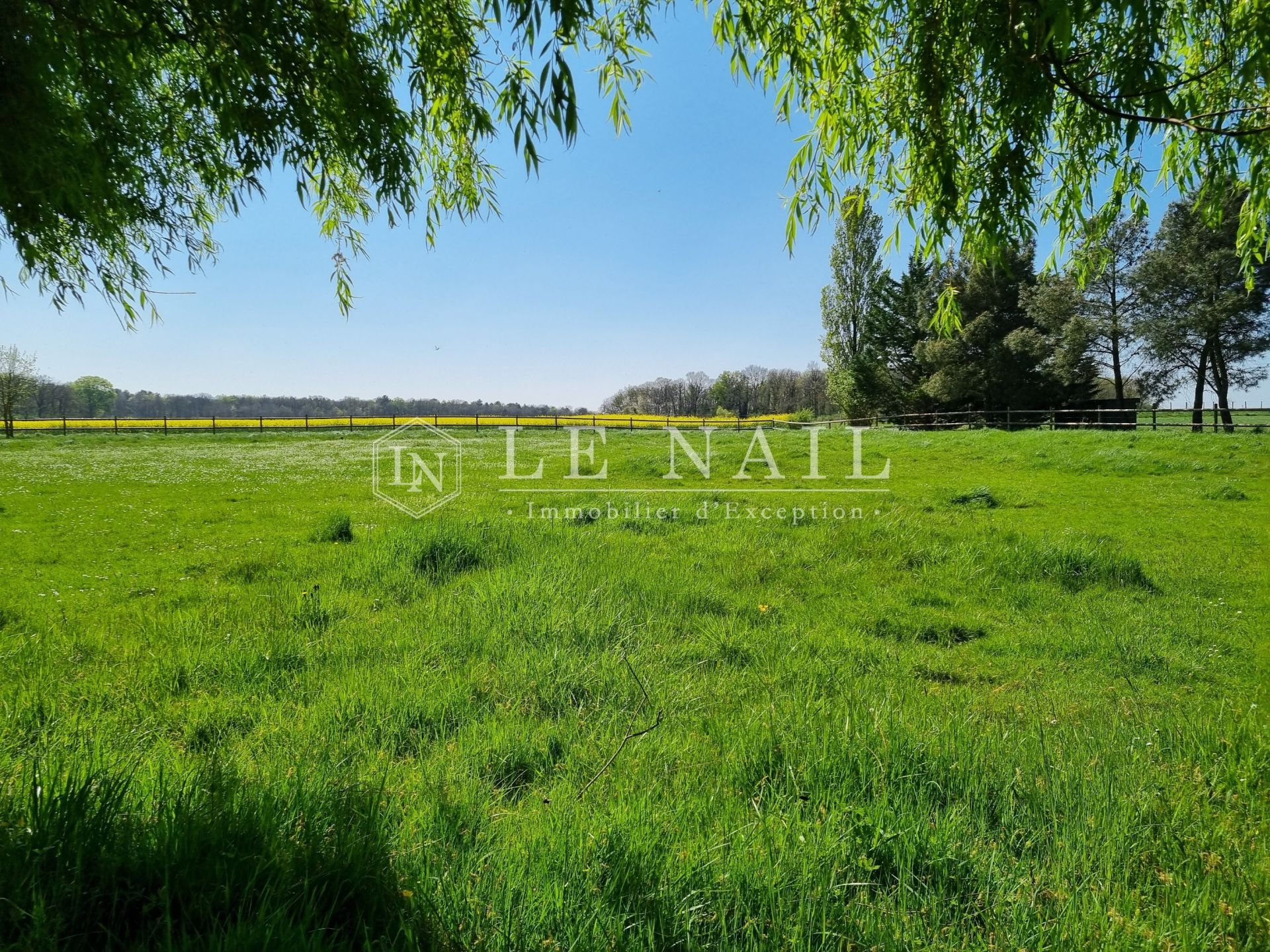 house 14 rooms for sale on CHINON (37500)