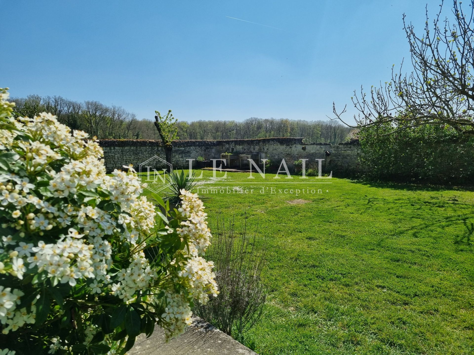 house 14 rooms for sale on CHINON (37500)