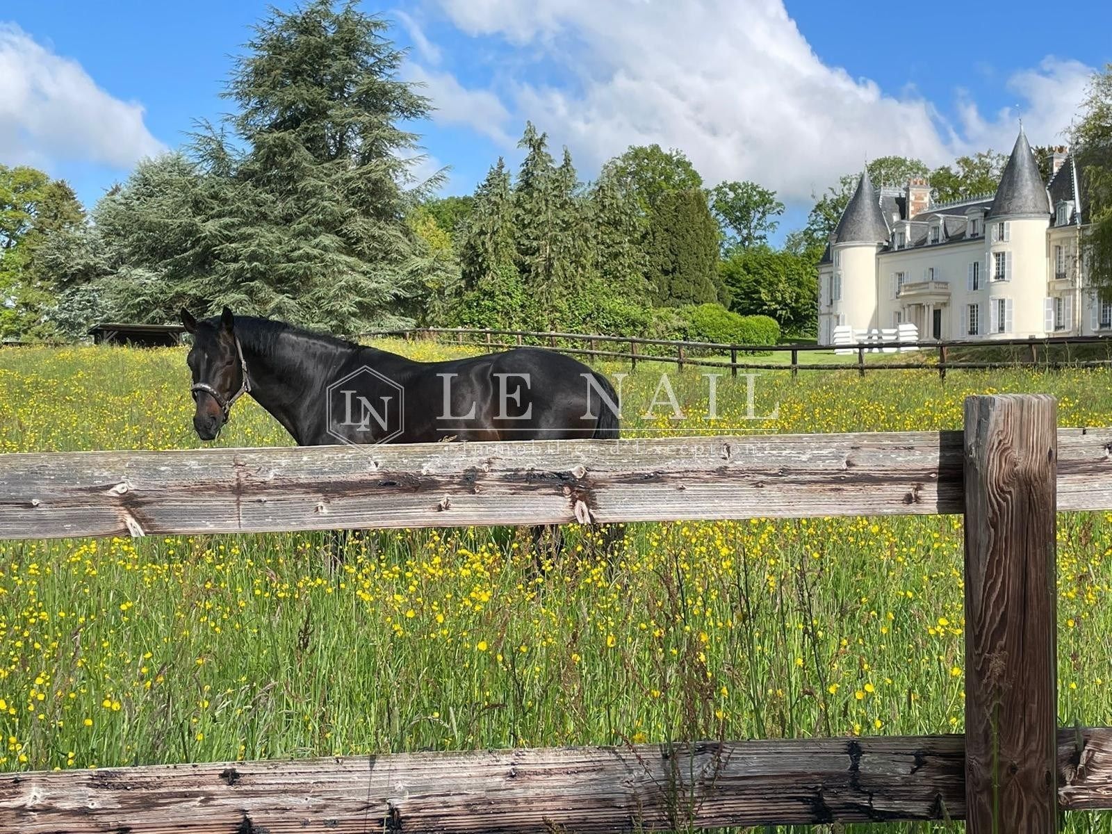 castle 17 rooms for sale on MORTAGNE AU PERCHE (61400)