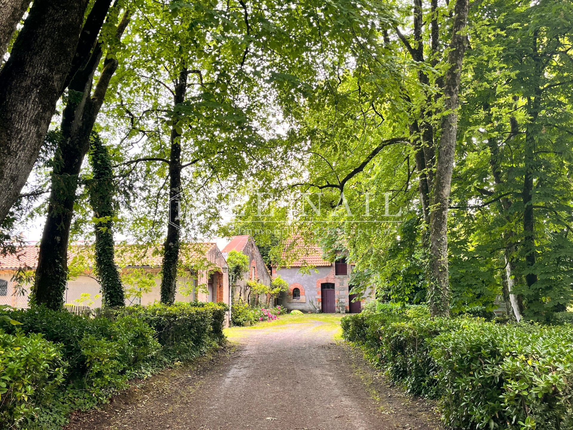 château 10 pièces en vente à BOIS DE CENE (85710)