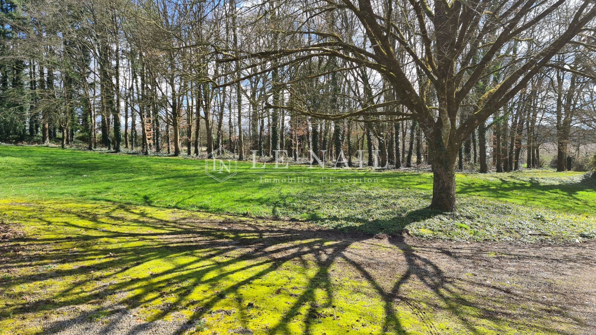 manor house 8 rooms for sale on VITRE (35500)