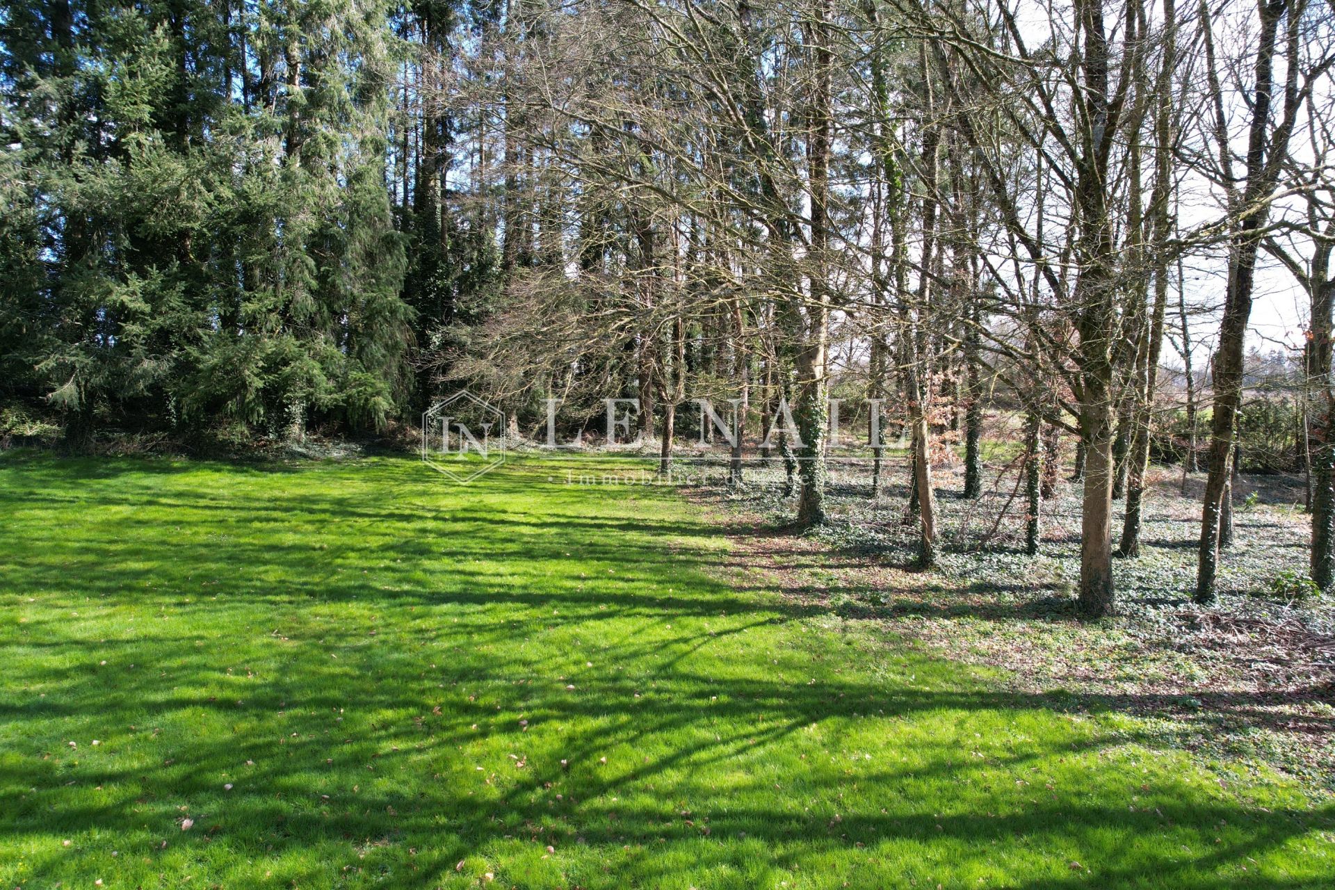 manor house 8 rooms for sale on VITRE (35500)