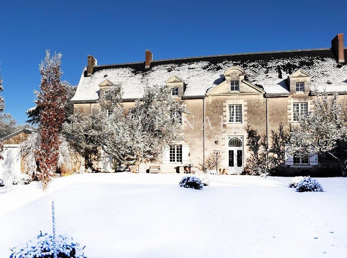 castle 10 rooms for sale on TREILLIERES (44119)