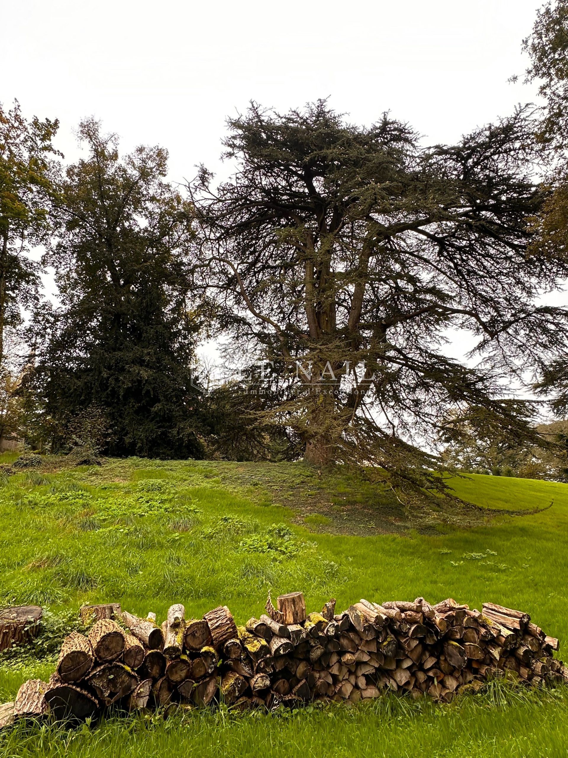 château 10 pièces en vente à TREILLIERES (44119)