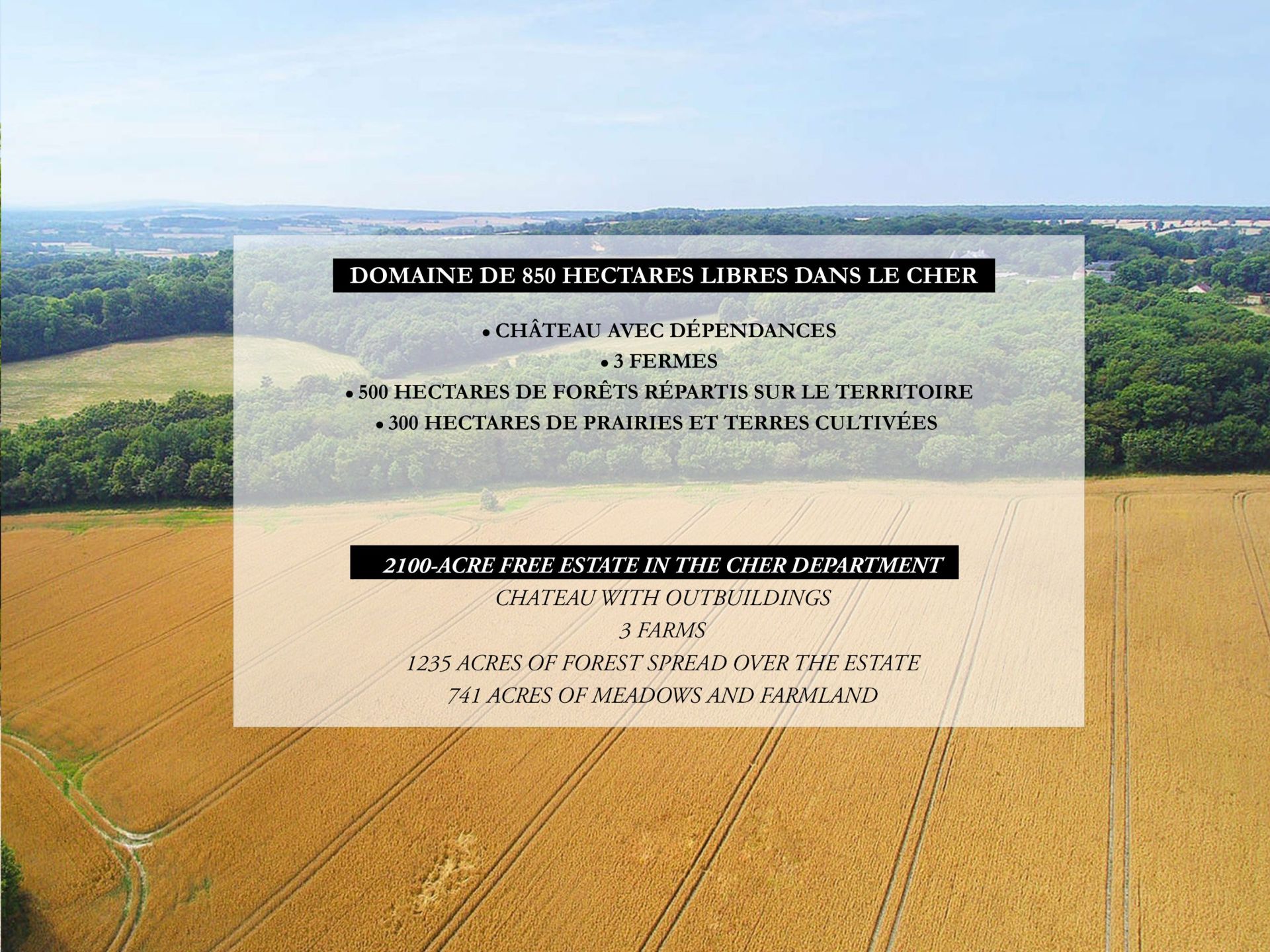 castle 15 rooms for sale on AUBIGNY SUR NERE (18700)