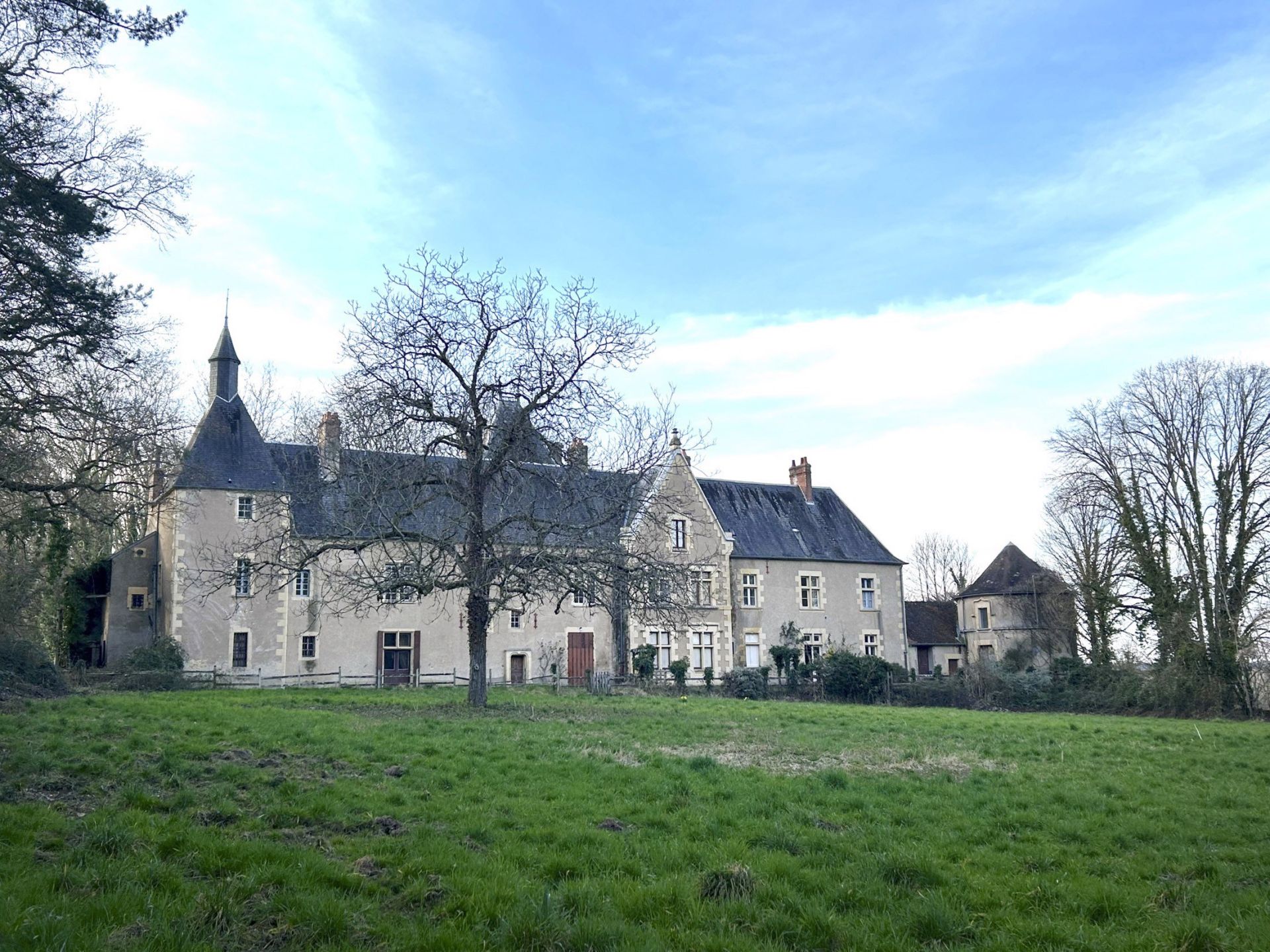 castle 11 rooms for sale on NEVERS (58000)