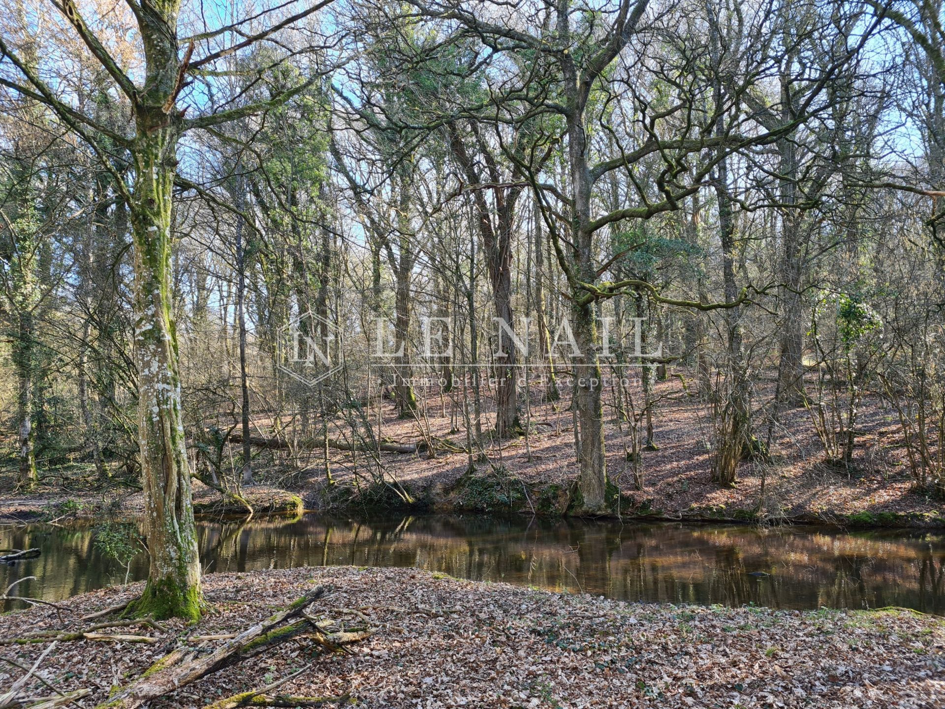 étang en vente à CHATEAUBOURG (35220)