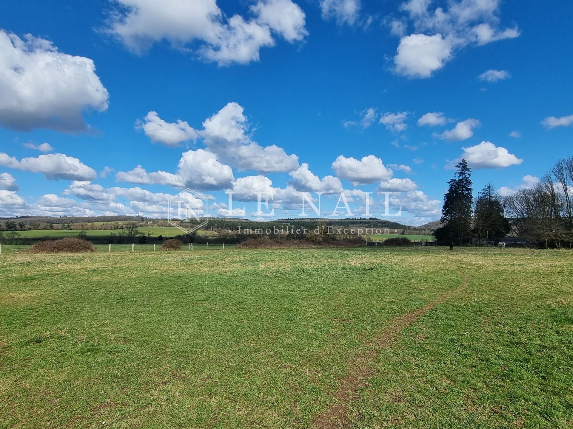 manoir 13 pièces en vente à ARGENTAN (61200)