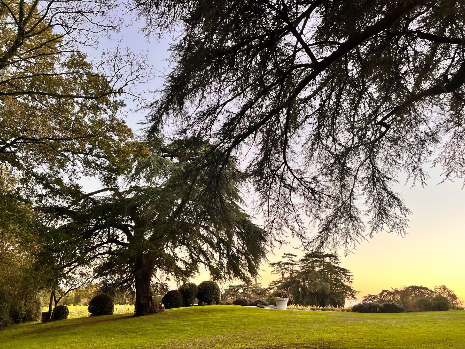 château 13 pièces en vente à MAUVES SUR LOIRE (44470)