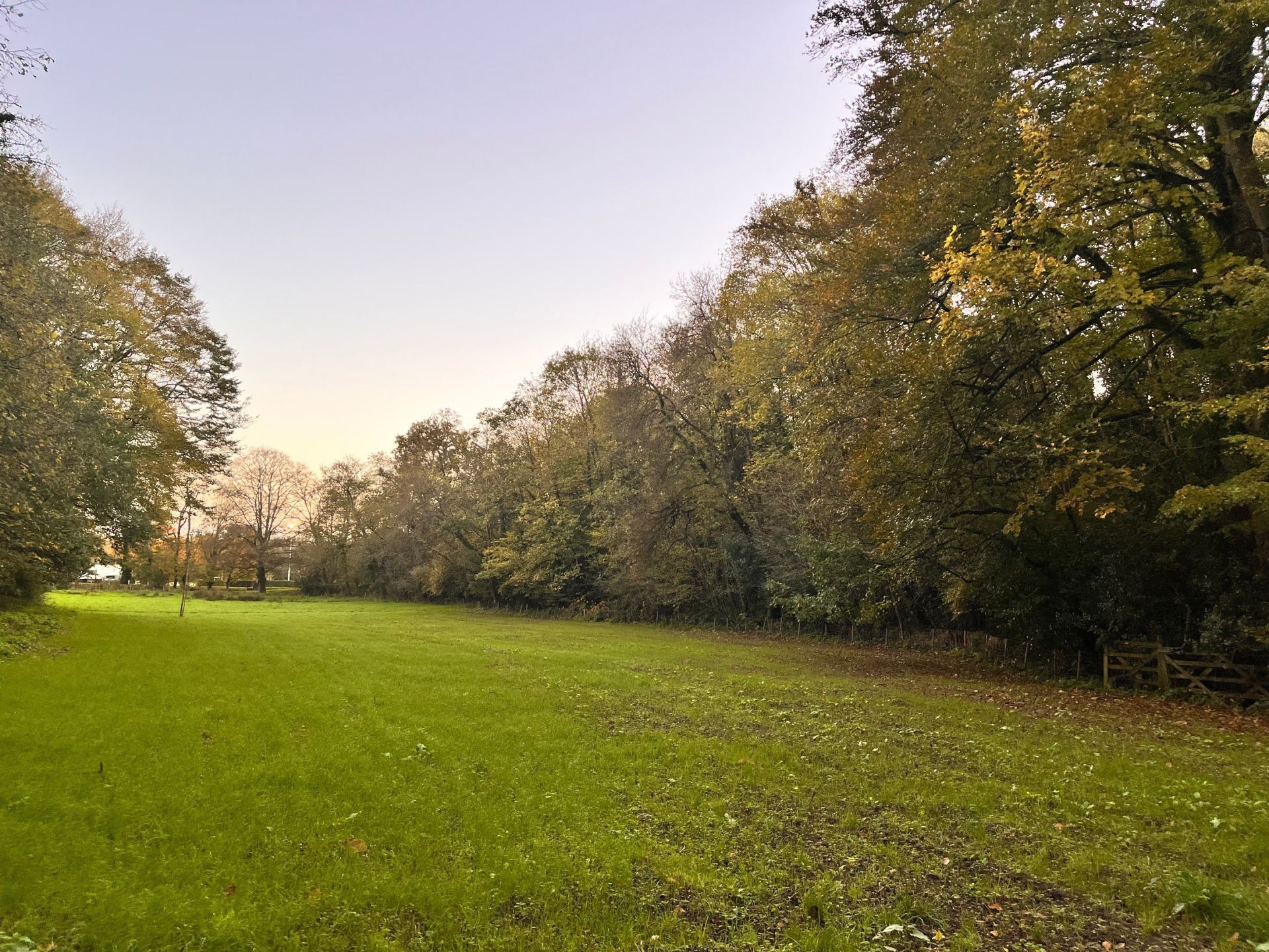 castle 13 rooms for sale on MAUVES SUR LOIRE (44470)