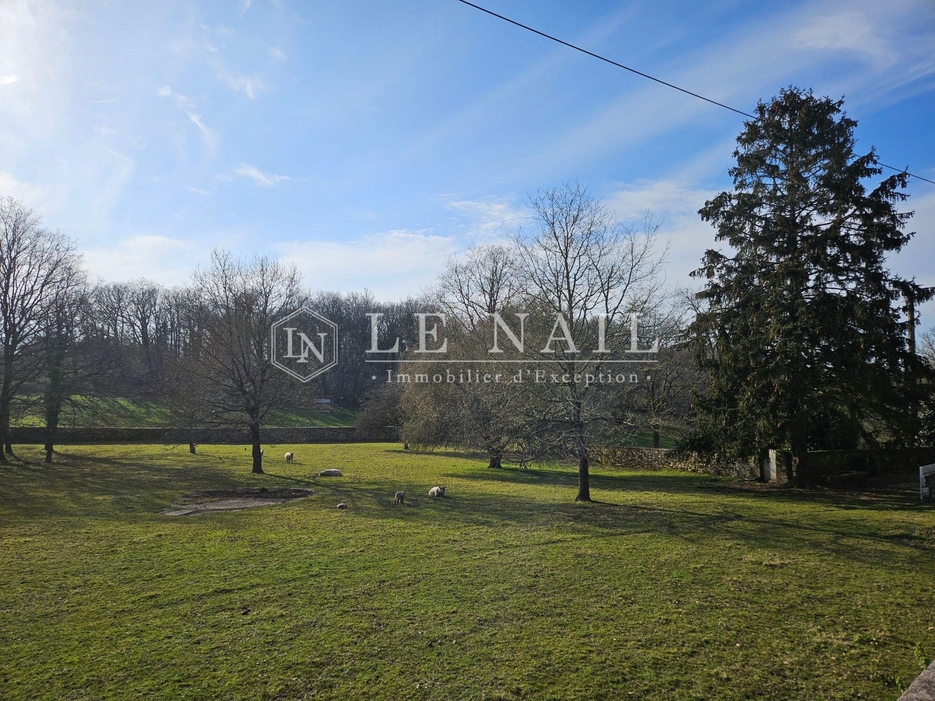 castle 10 rooms for sale on BEAULIEU SOUS LA ROCHE (85190)