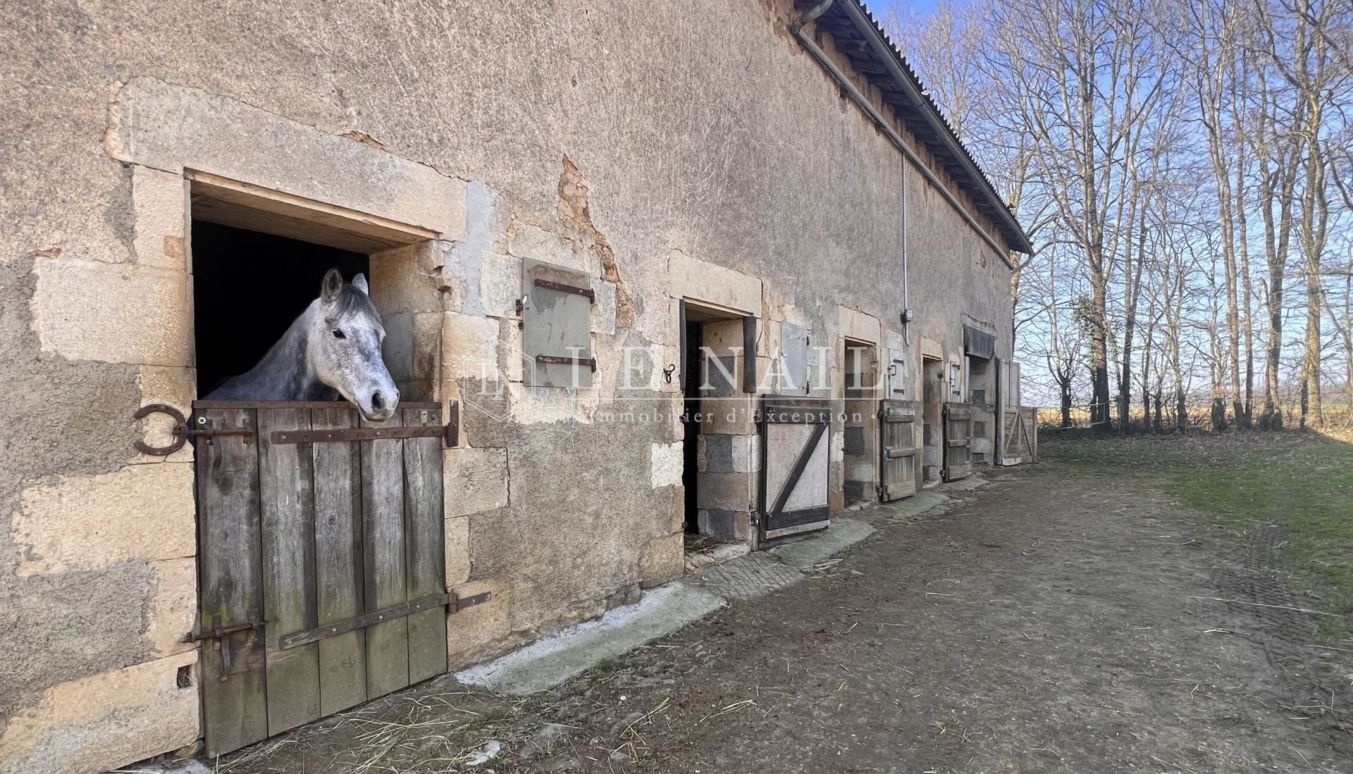 propriété 9 pièces en vente à GENCAY (86160)