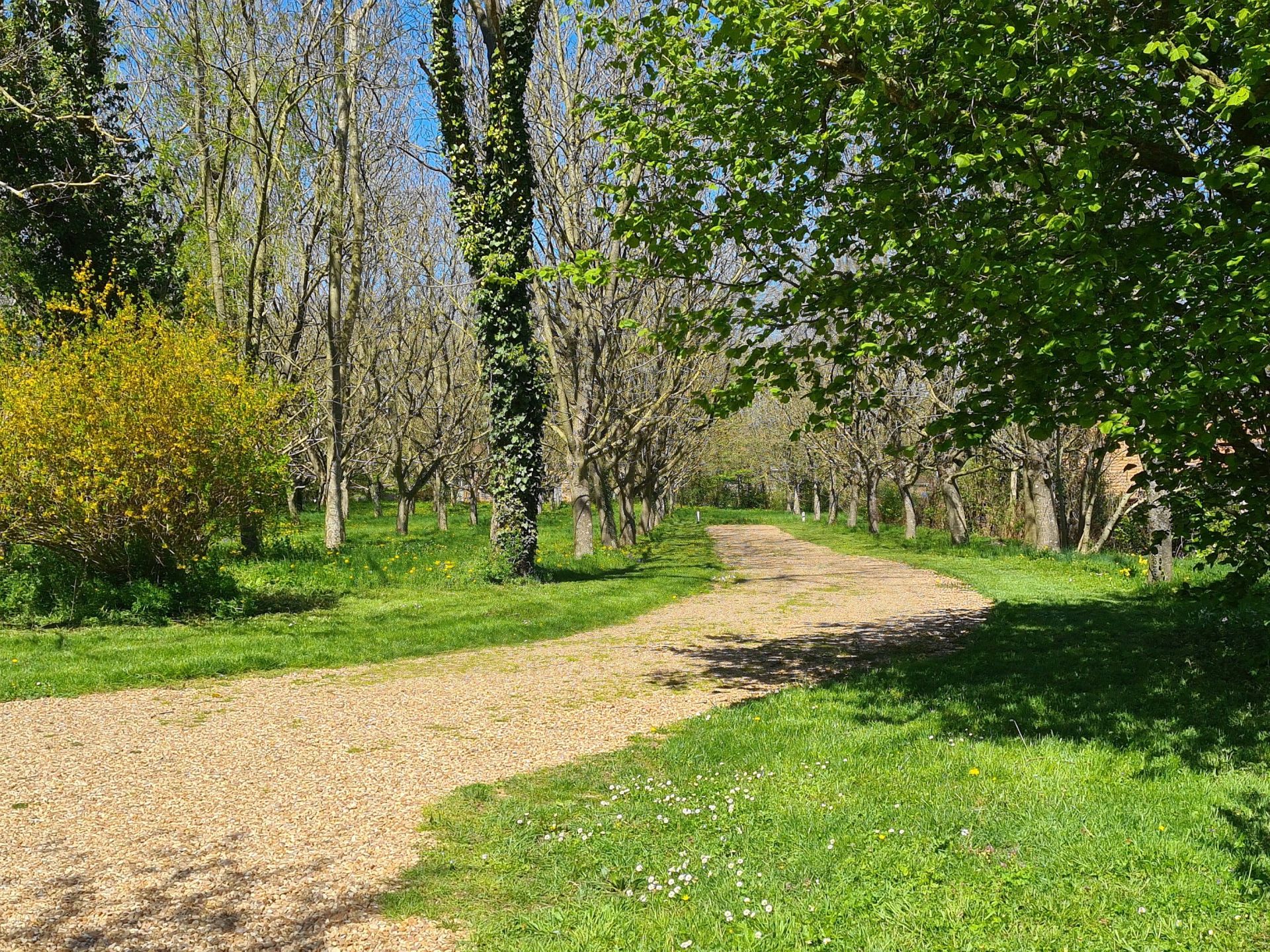 manoir 6 pièces en vente à LE MANS (72000)