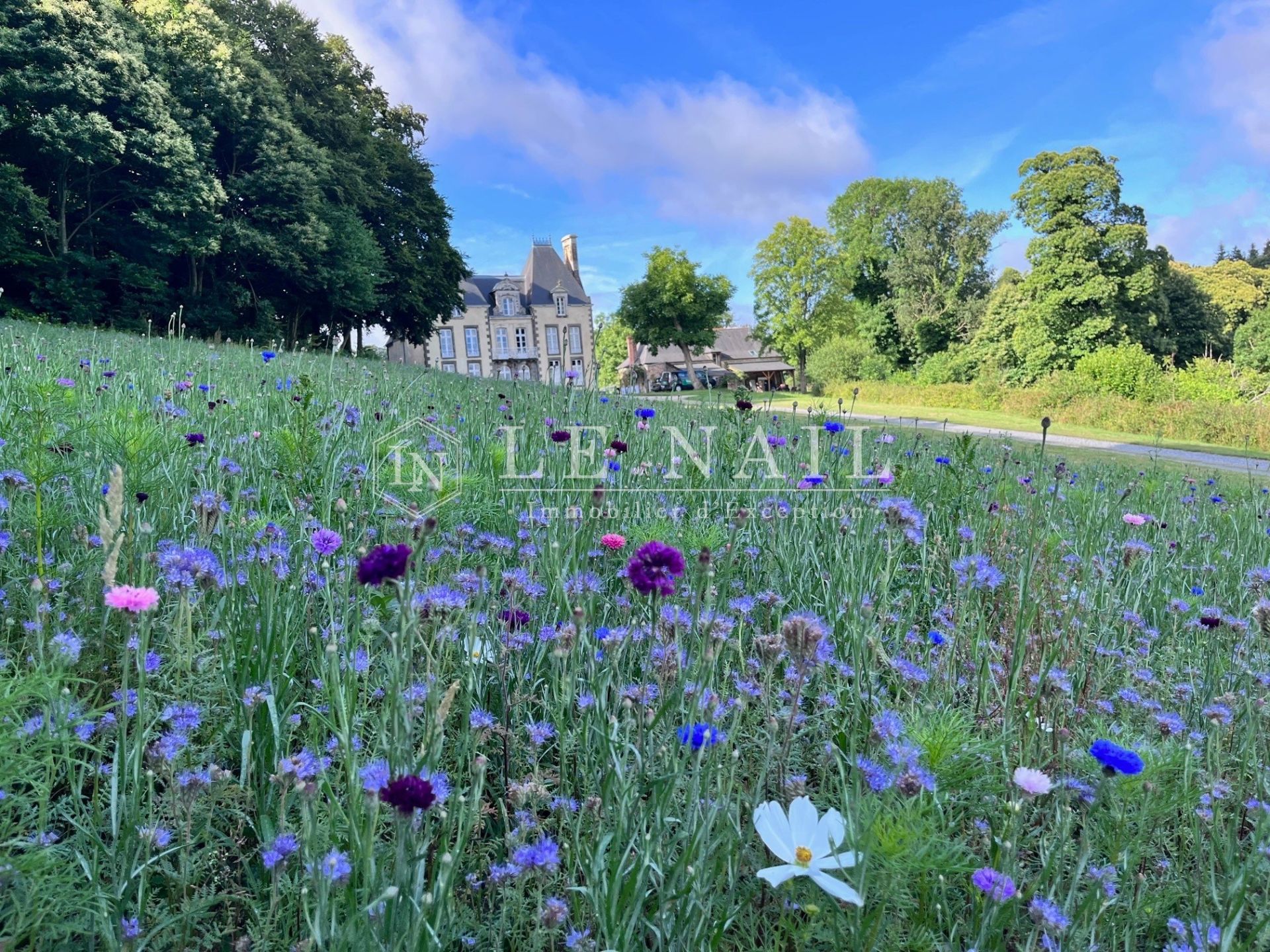 château 26 pièces en vente à COMBOURG (35270)