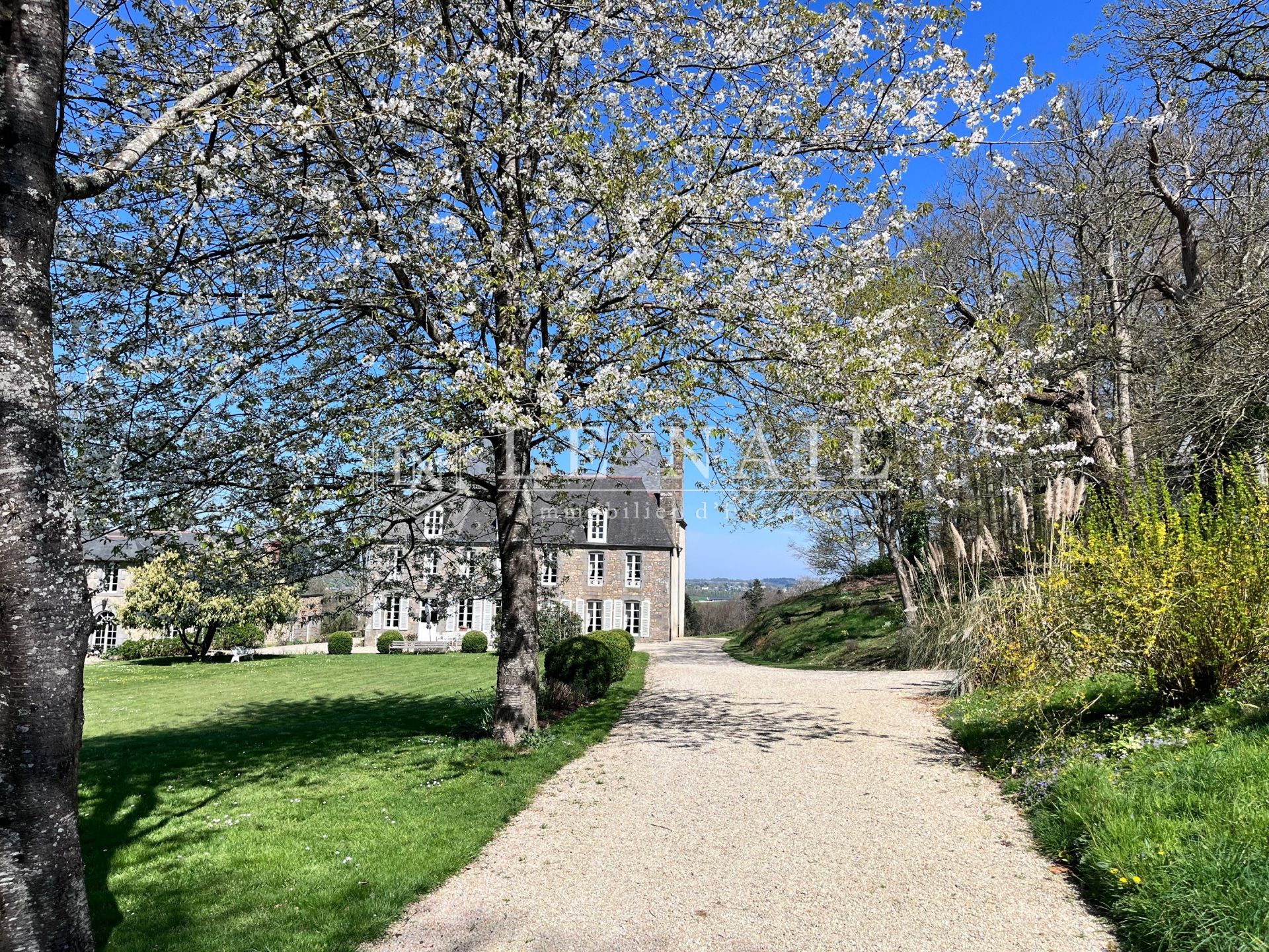castle 10 rooms for sale on COMBOURG (35270)