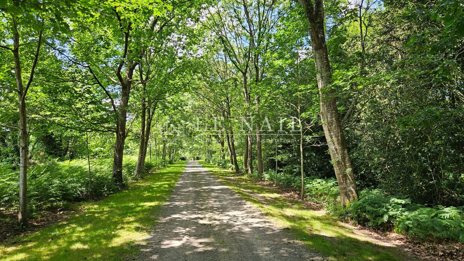 château 26 pièces en vente à COMBOURG (35270)