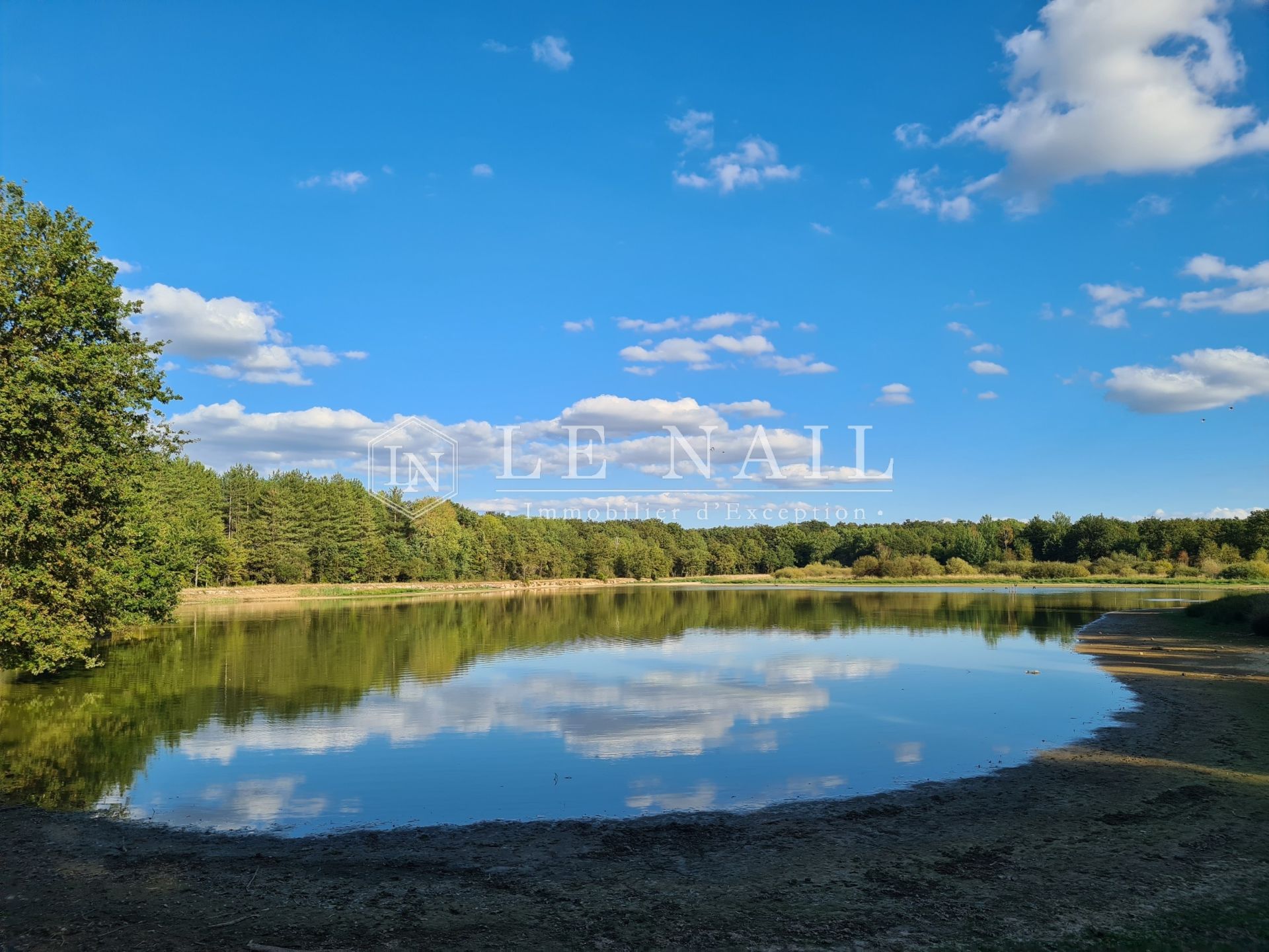 forêt en vente à TOURS (37000)