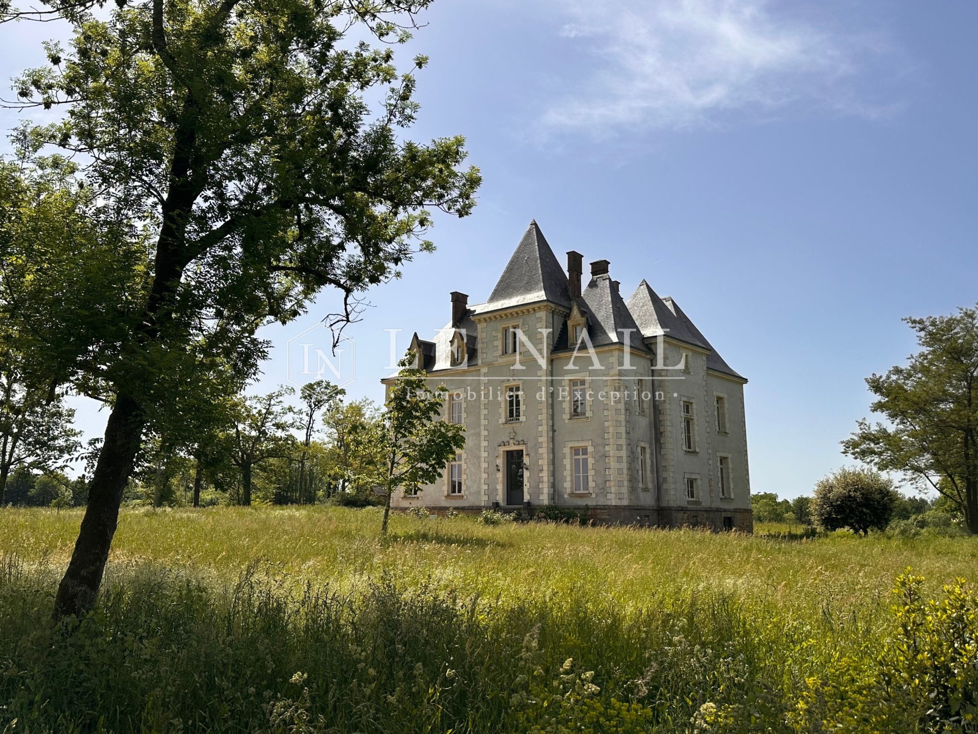 château 12 pièces en vente à STE HERMINE (85210)