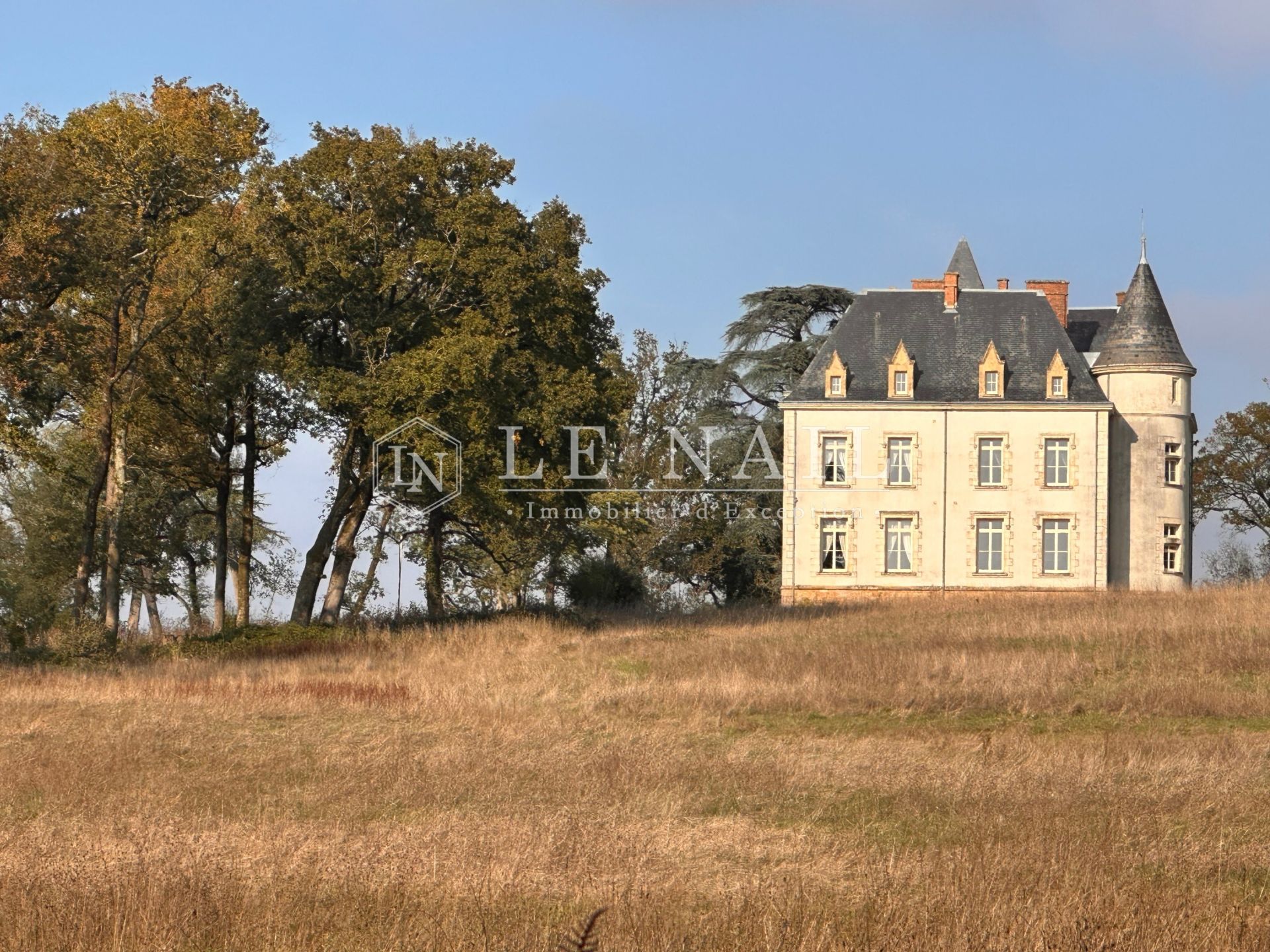 château 12 pièces en vente à STE HERMINE (85210)