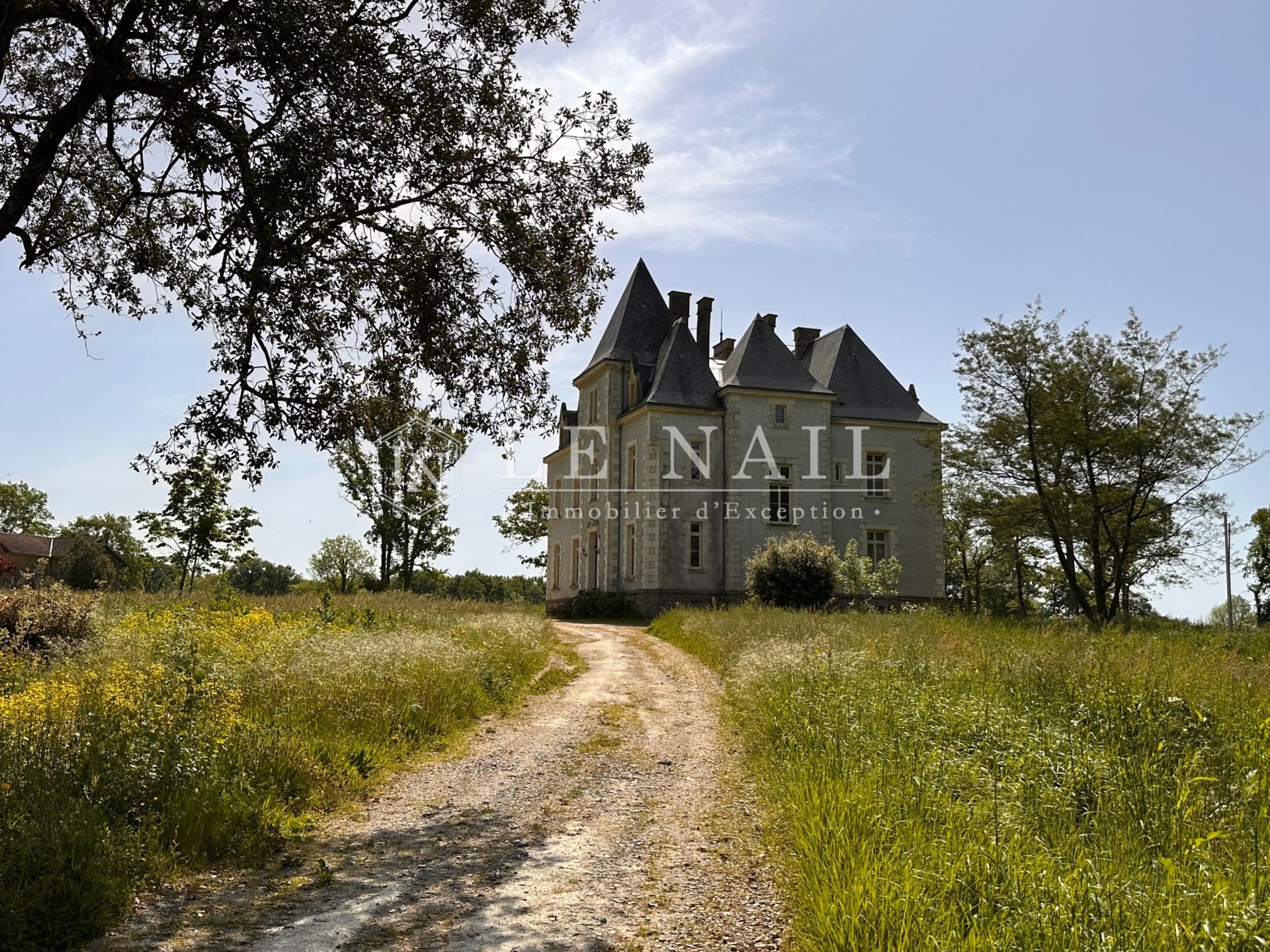 château 12 pièces en vente à STE HERMINE (85210)