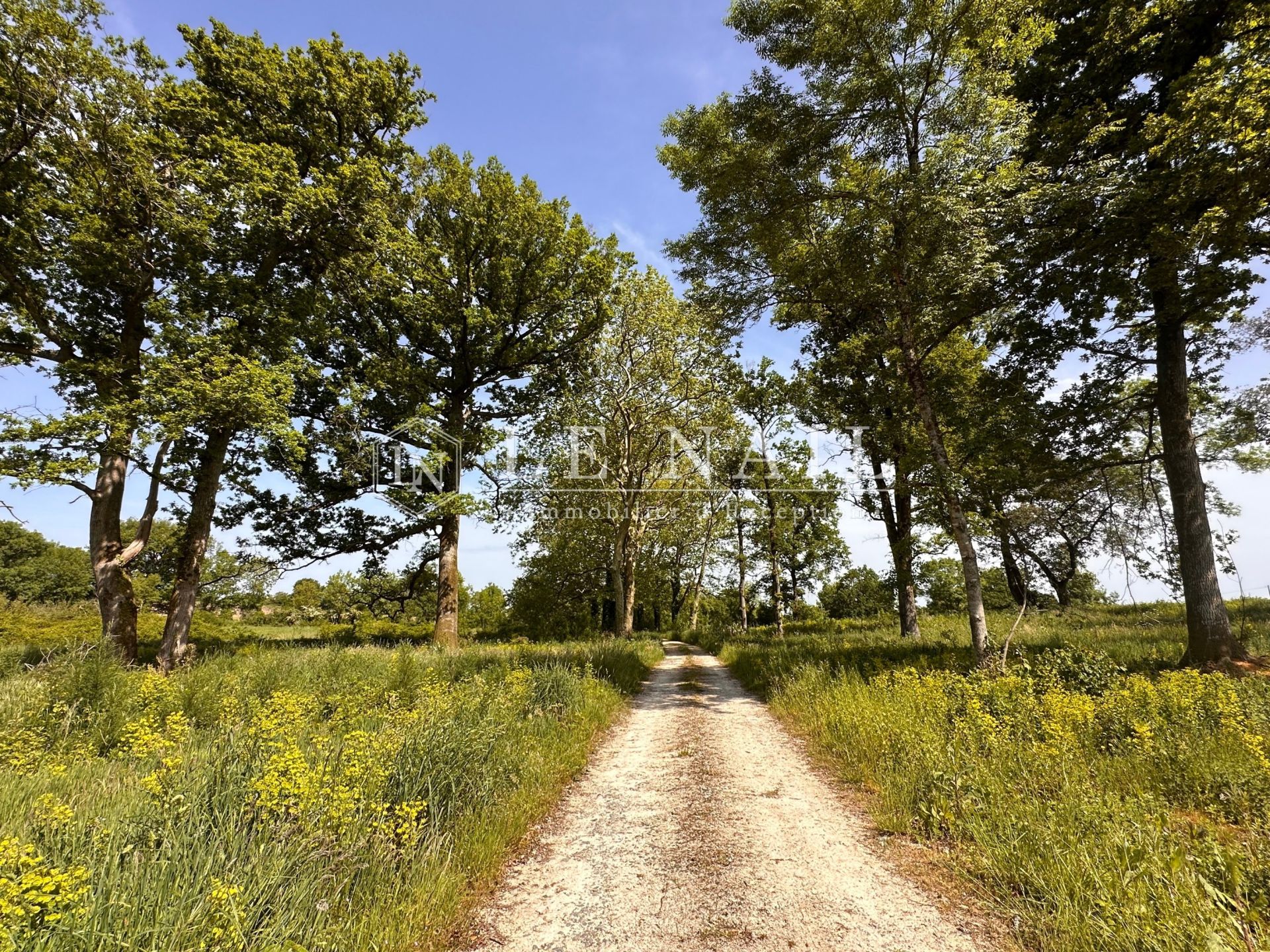 château 12 pièces en vente à STE HERMINE (85210)