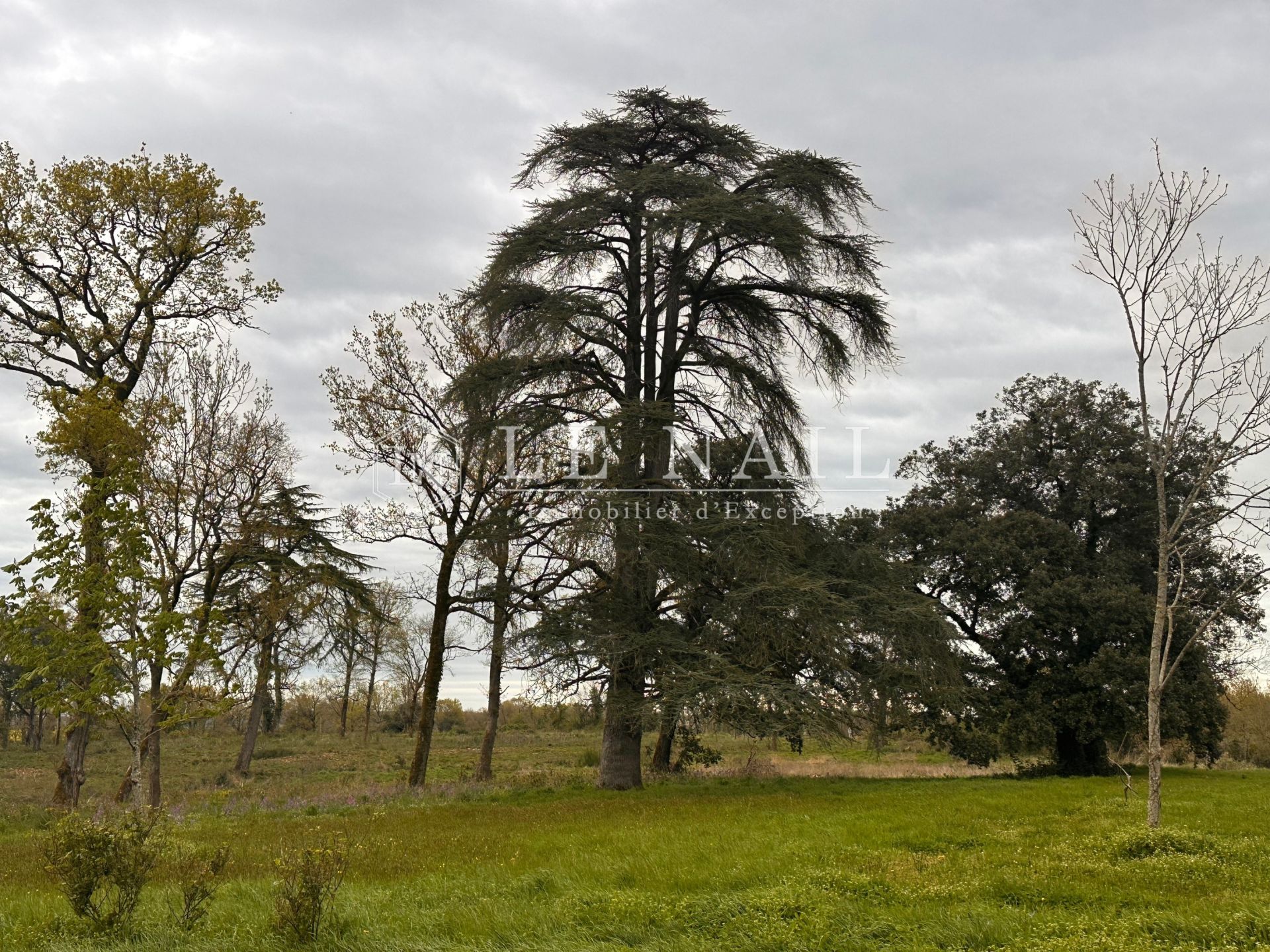 château 12 pièces en vente à STE HERMINE (85210)