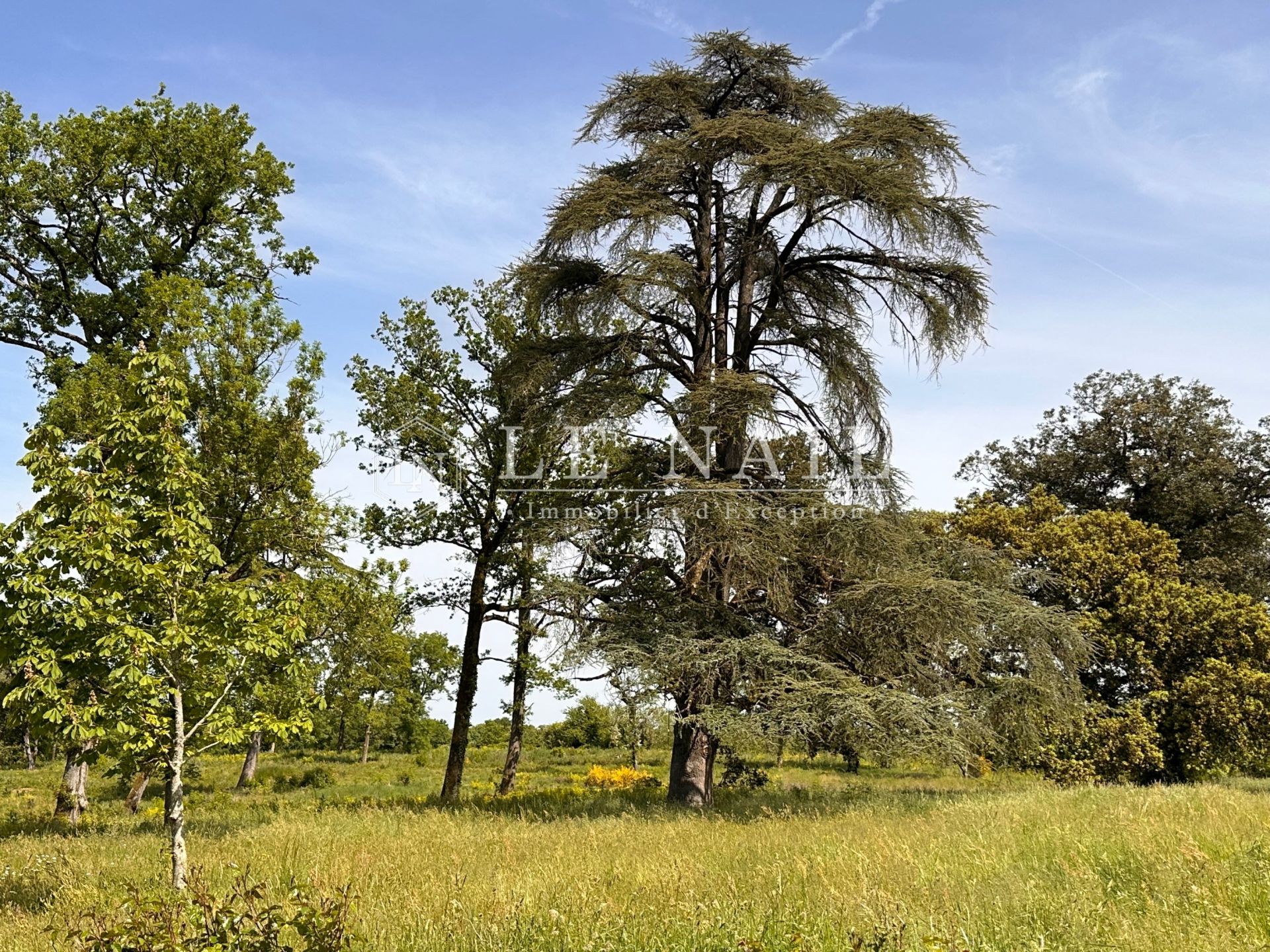 château 12 pièces en vente à STE HERMINE (85210)