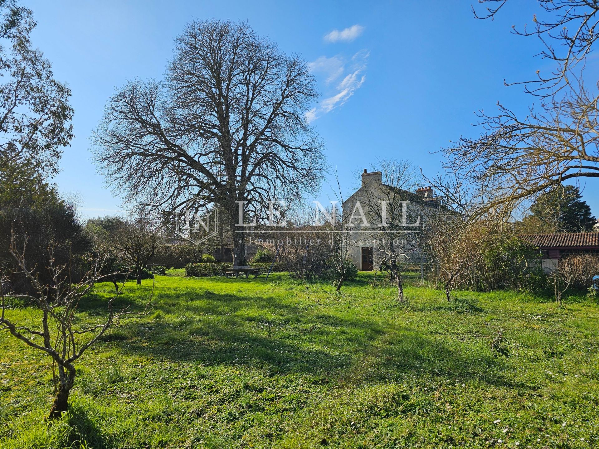 maison 12 pièces en vente à ST FLORENT LE VIEIL (49410)