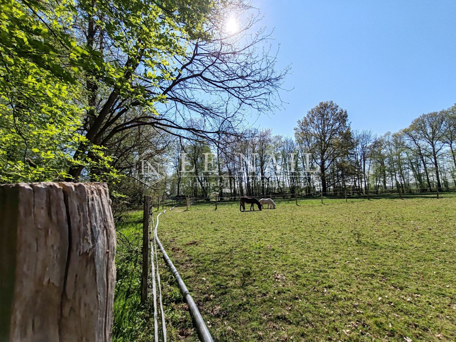 manoir 15 pièces en vente à BROU (28160)