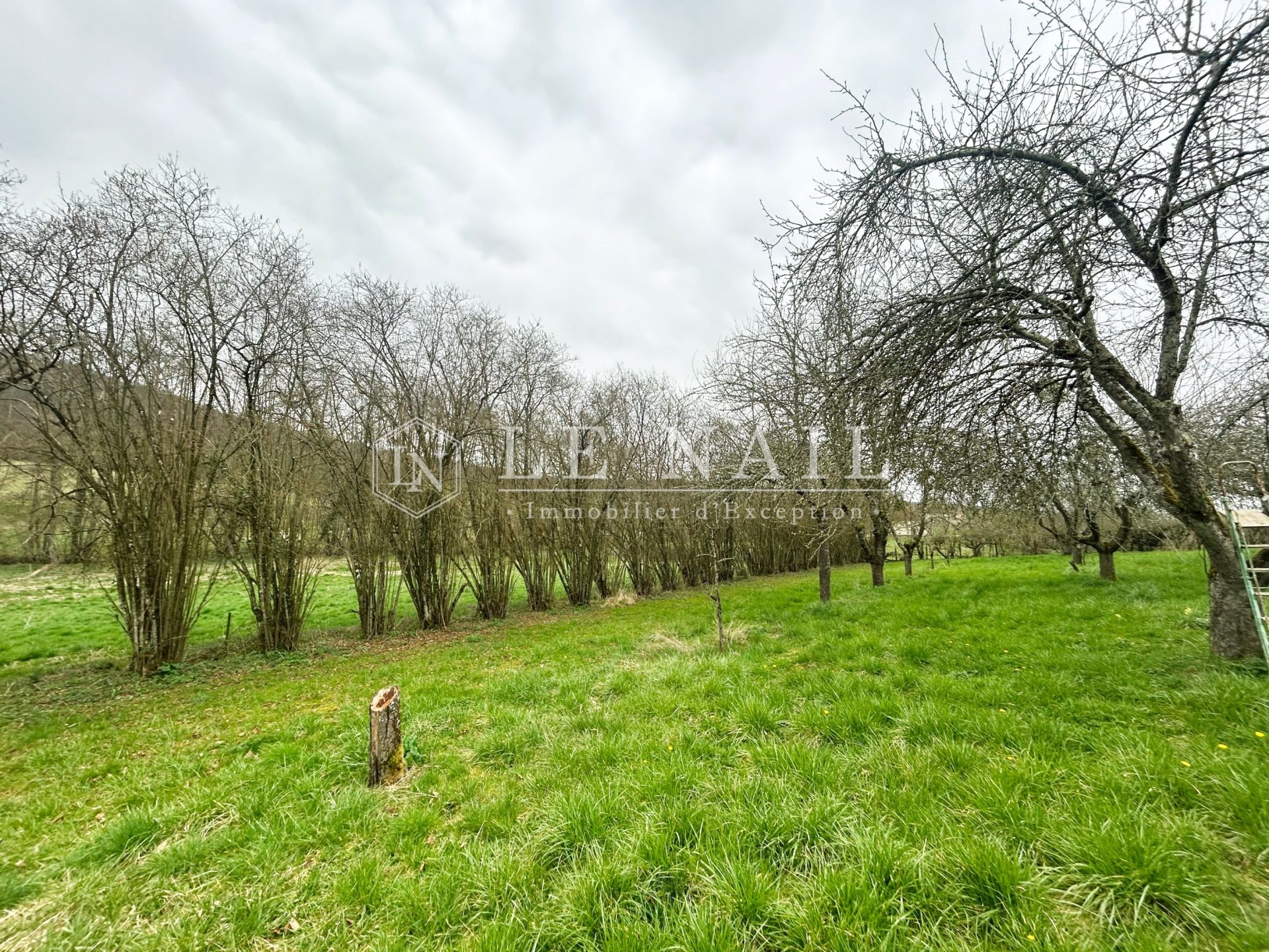 manoir 13 pièces en vente à NEVERS (58000)
