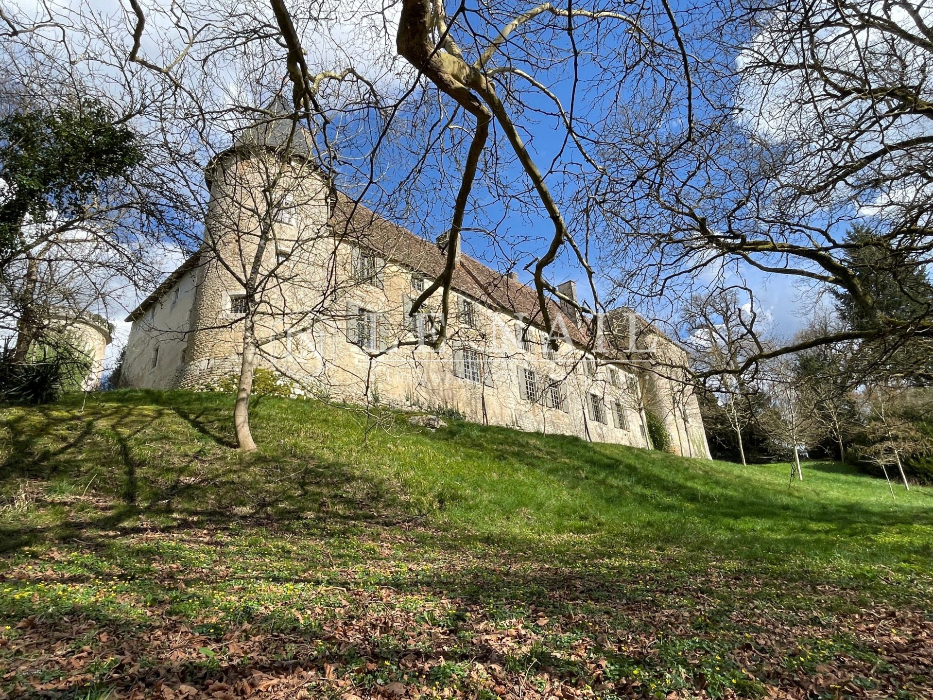 castle 23 rooms for sale on POITIERS (86000)