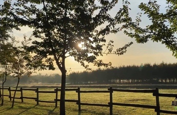 propriété 6 pièces en vente à MIGENNES (89400)