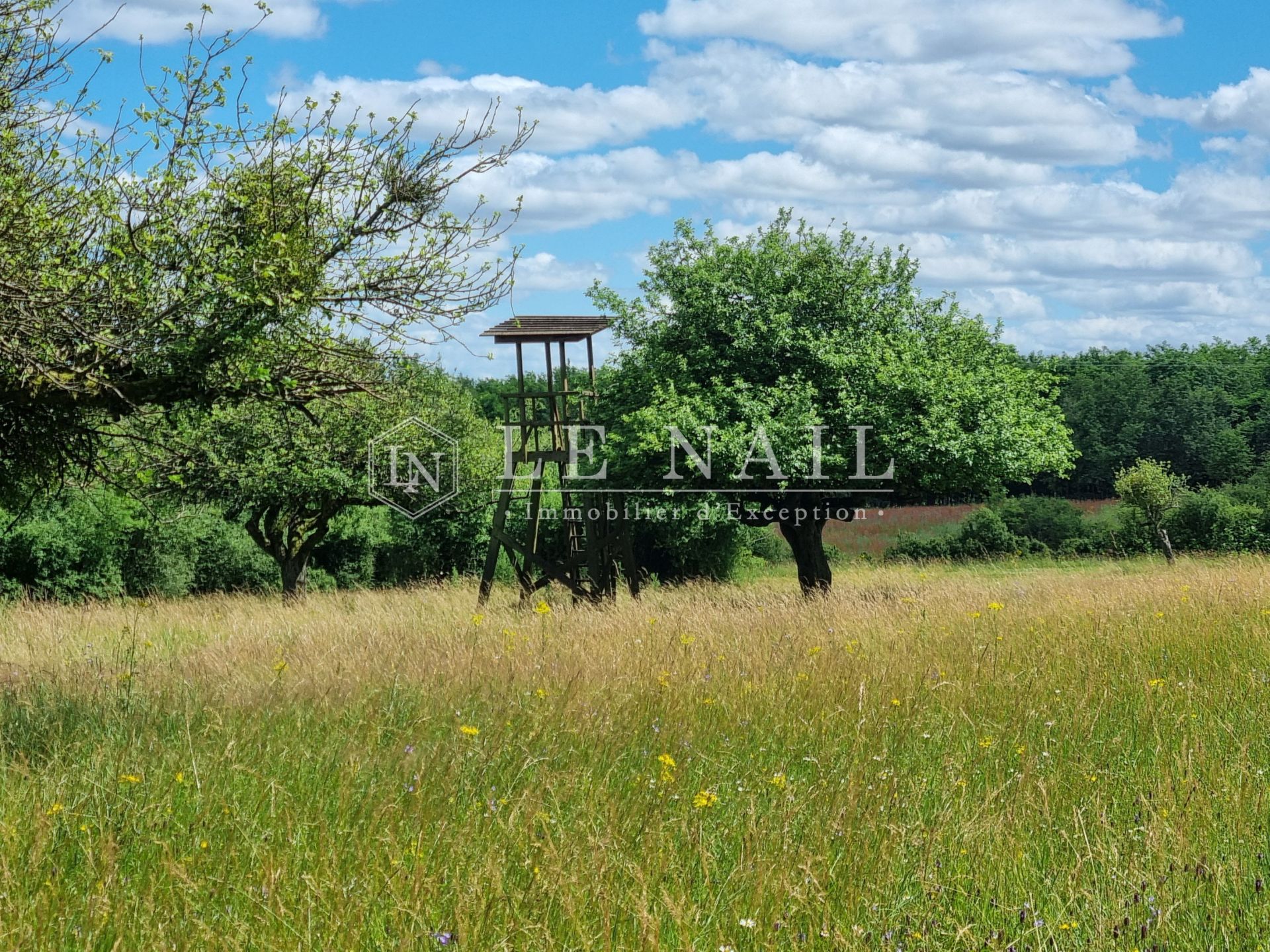 propriété 6 pièces en vente à MIGENNES (89400)