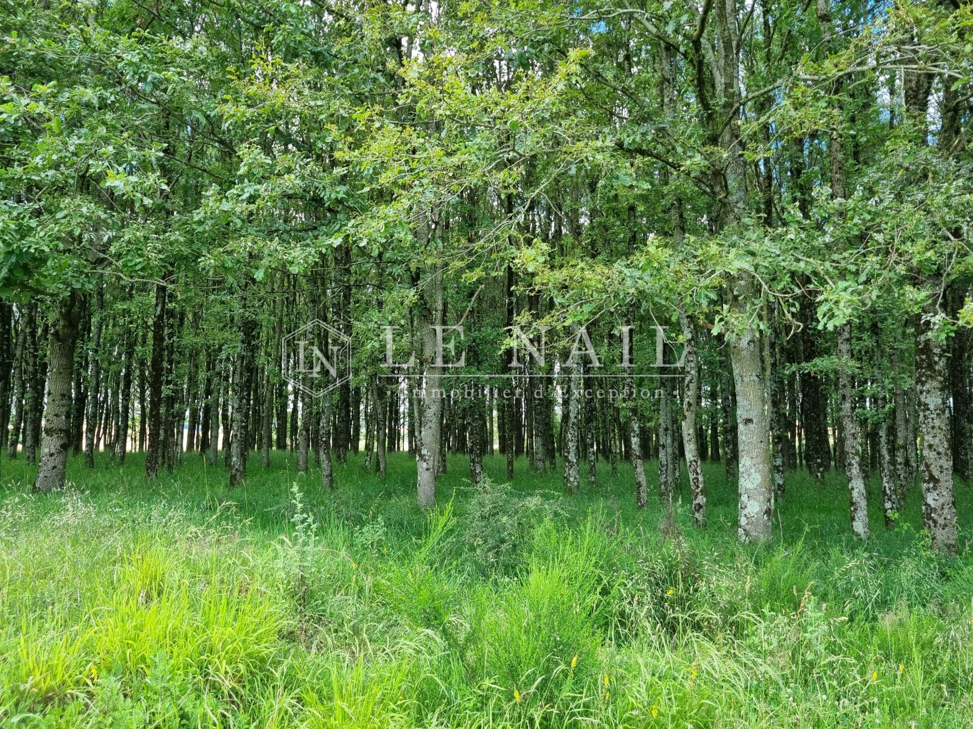 propriété 6 pièces en vente à MIGENNES (89400)