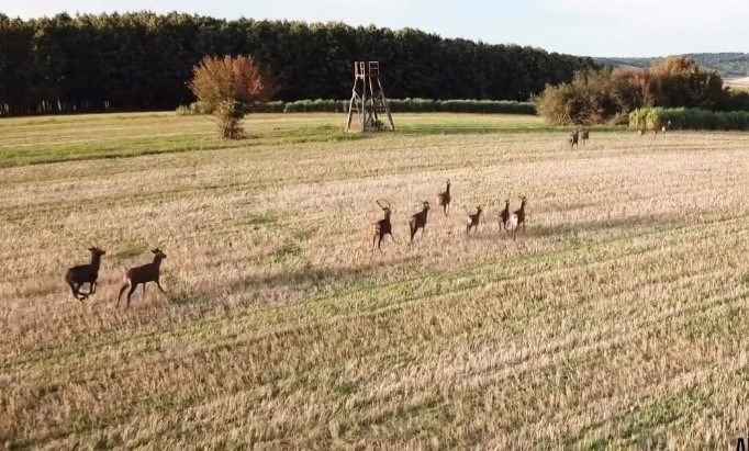 propriété 6 pièces en vente à MIGENNES (89400)