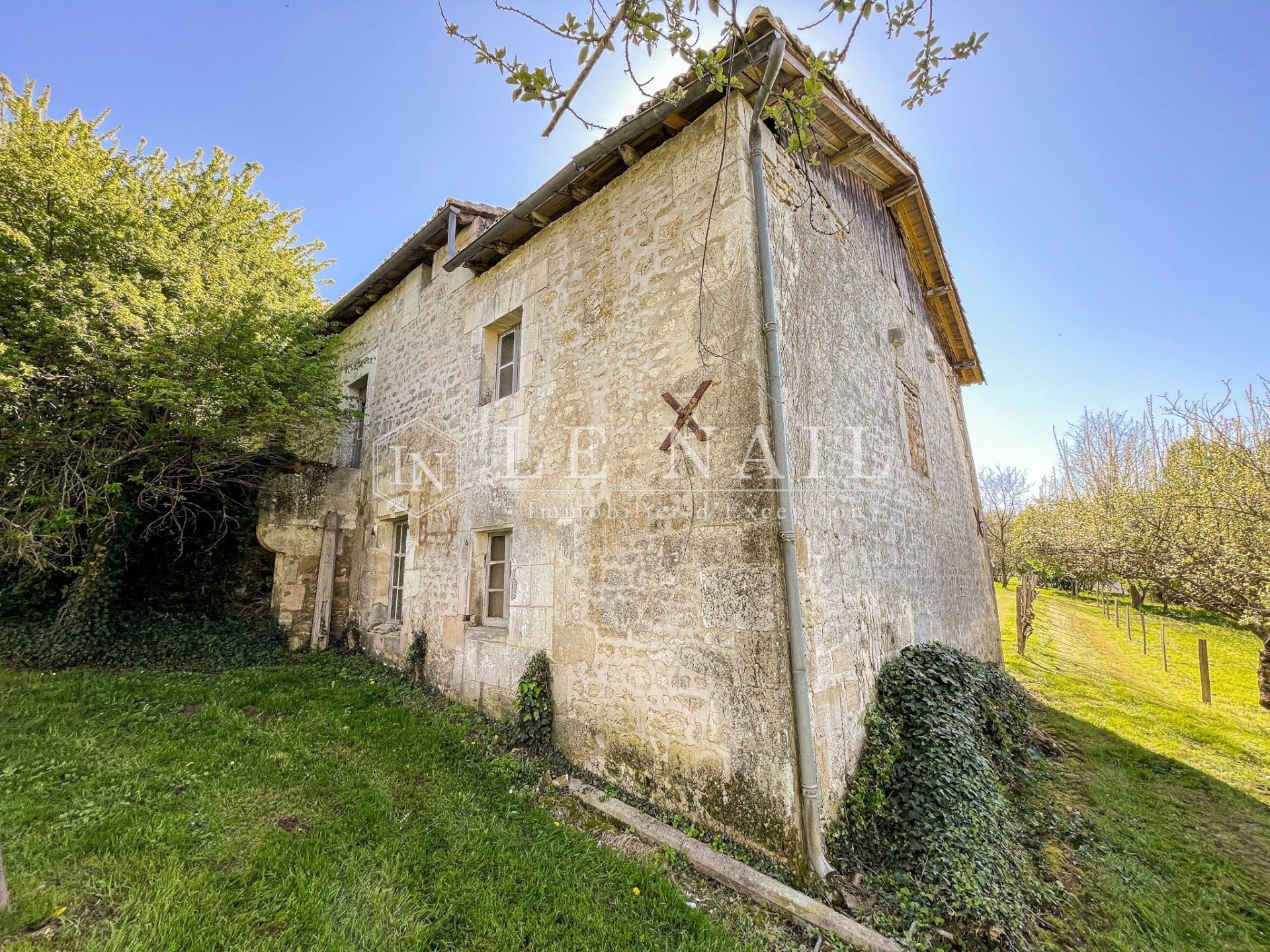 castle 11 rooms for sale on ANGOULEME (16000)