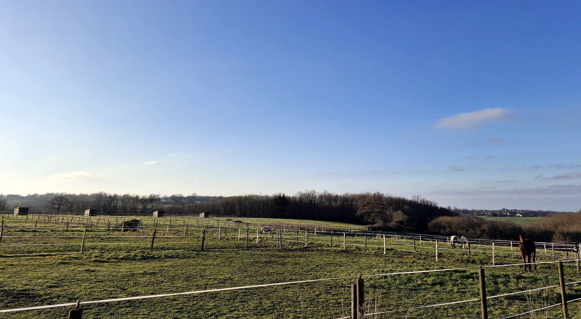 equestrian property 8 rooms for sale on MONTMORILLON (86500)