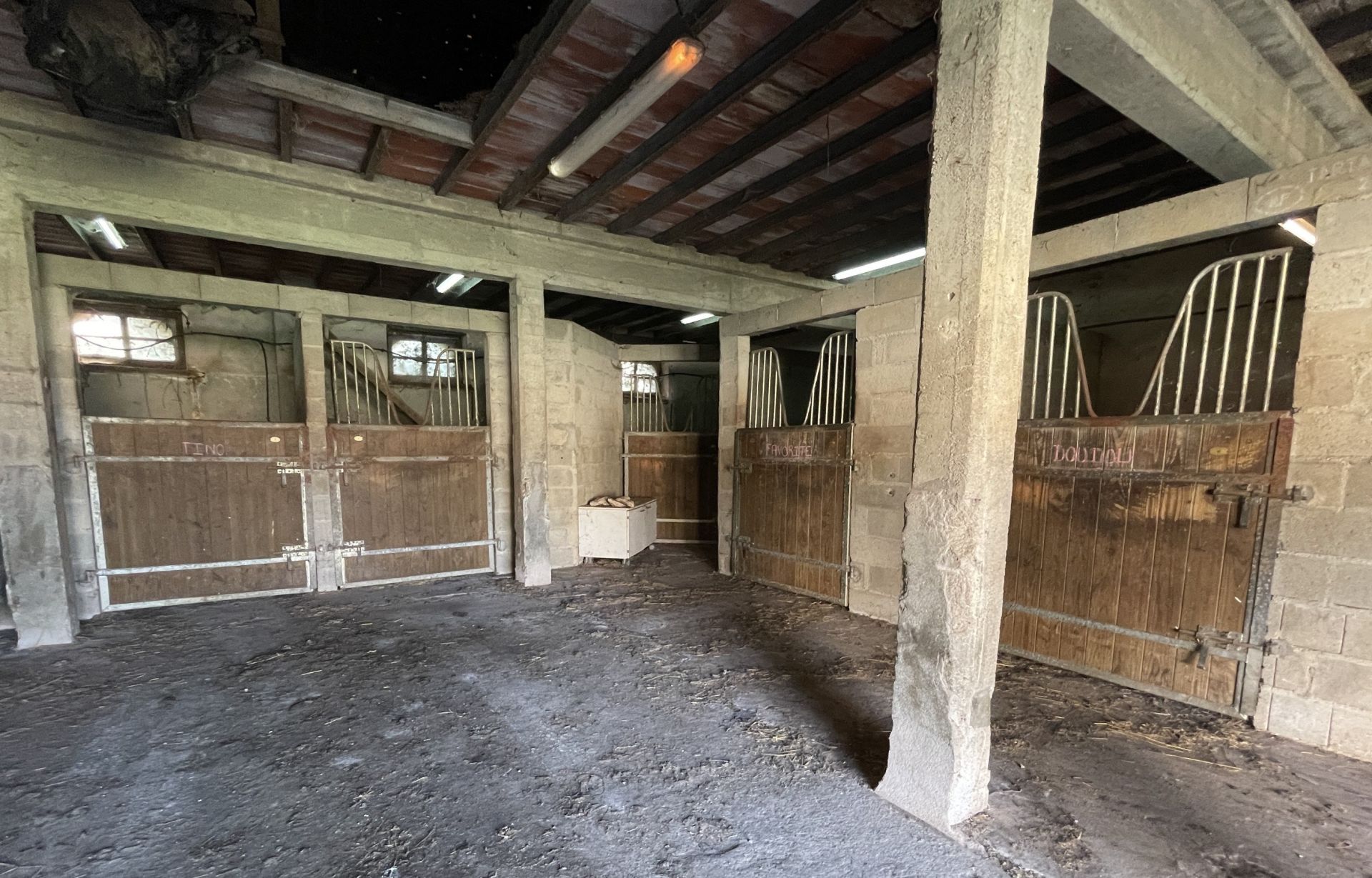 equestrian property 8 rooms for sale on MONTMORILLON (86500)