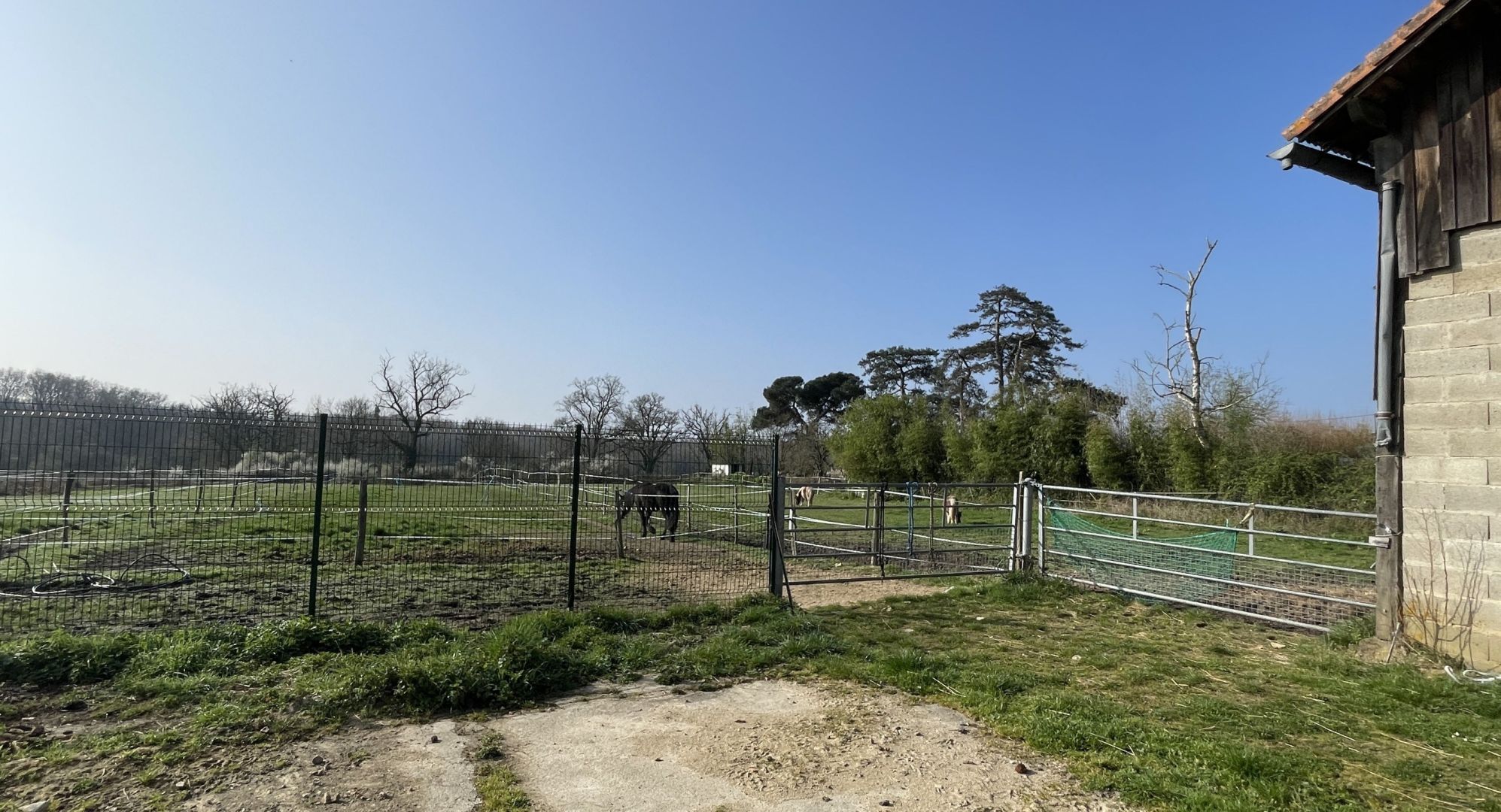 equestrian property 8 rooms for sale on MONTMORILLON (86500)