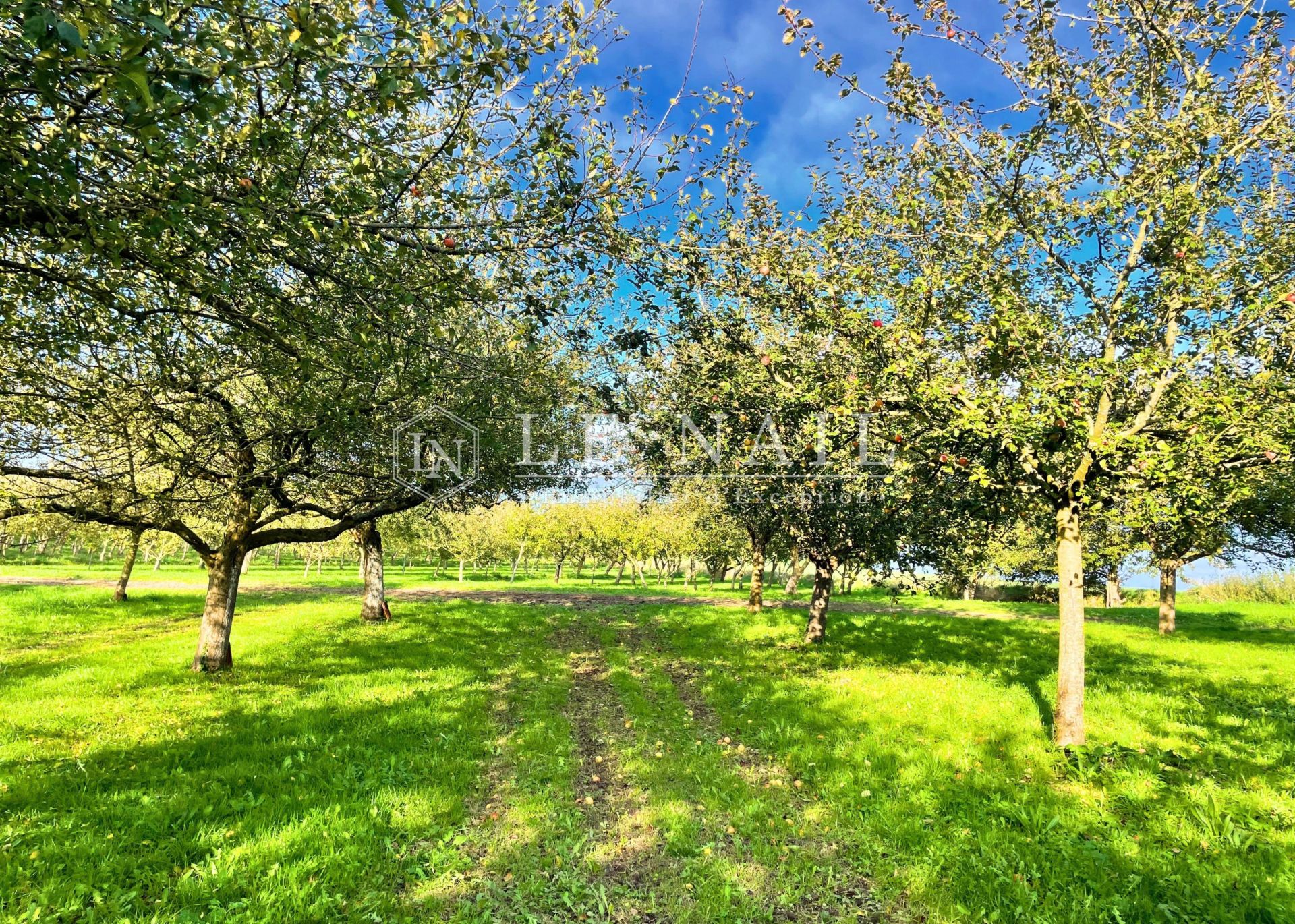 propriété 9 pièces en vente à MORLAIX (29600)