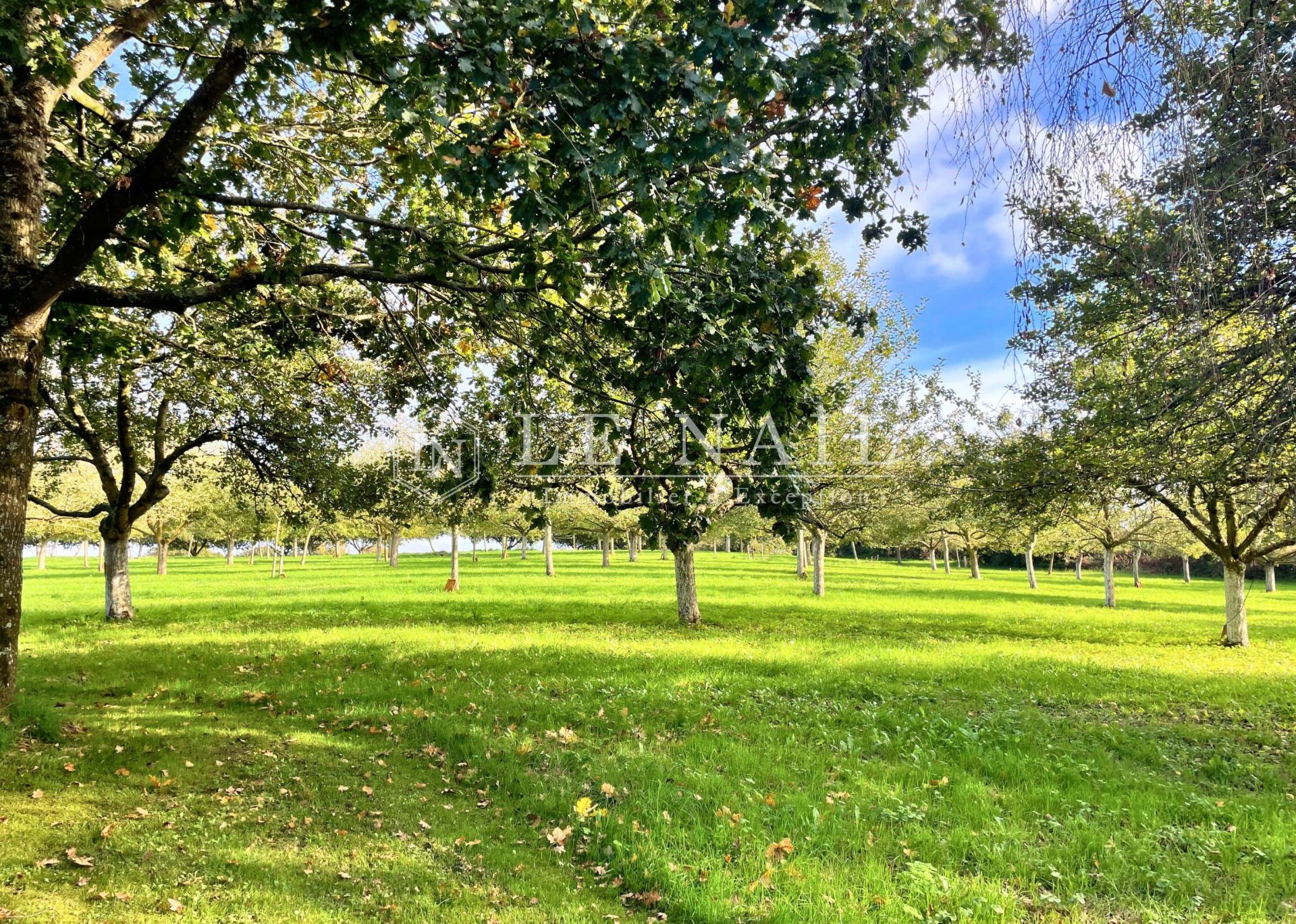 propriété 9 pièces en vente à MORLAIX (29600)