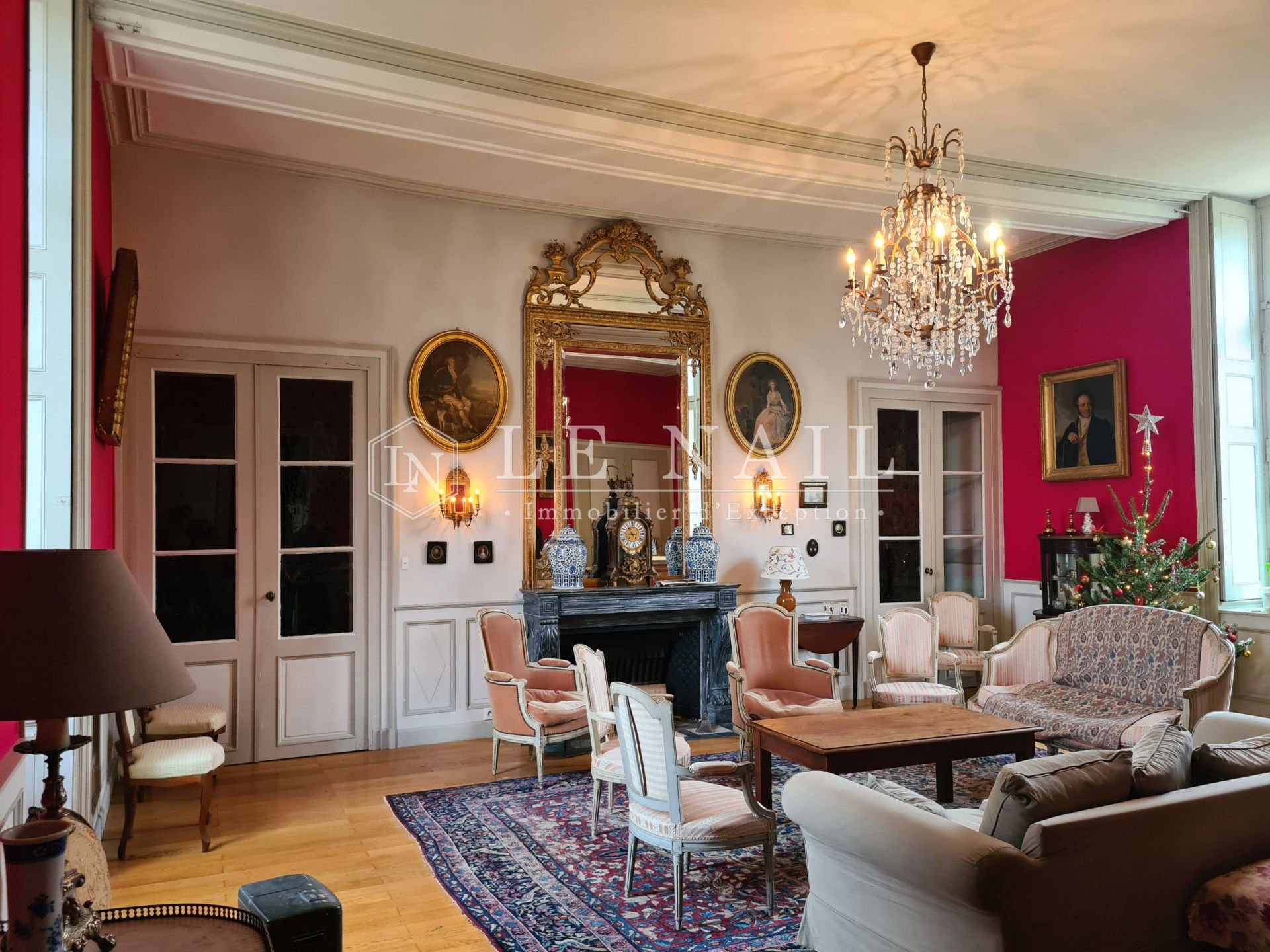 château 25 pièces en vente à BAUGE EN ANJOU (49150)