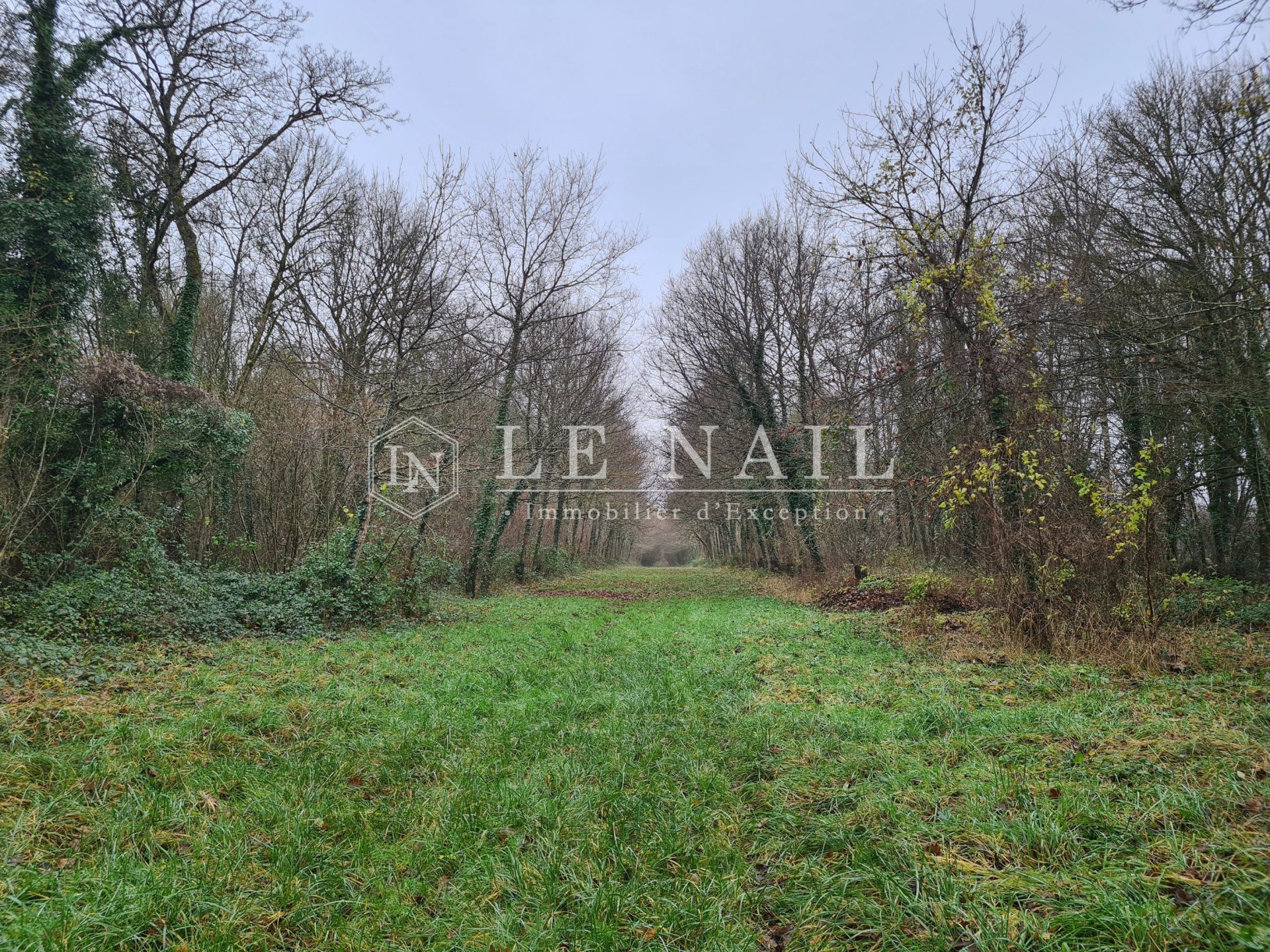 castle 25 rooms for sale on BAUGE EN ANJOU (49150)