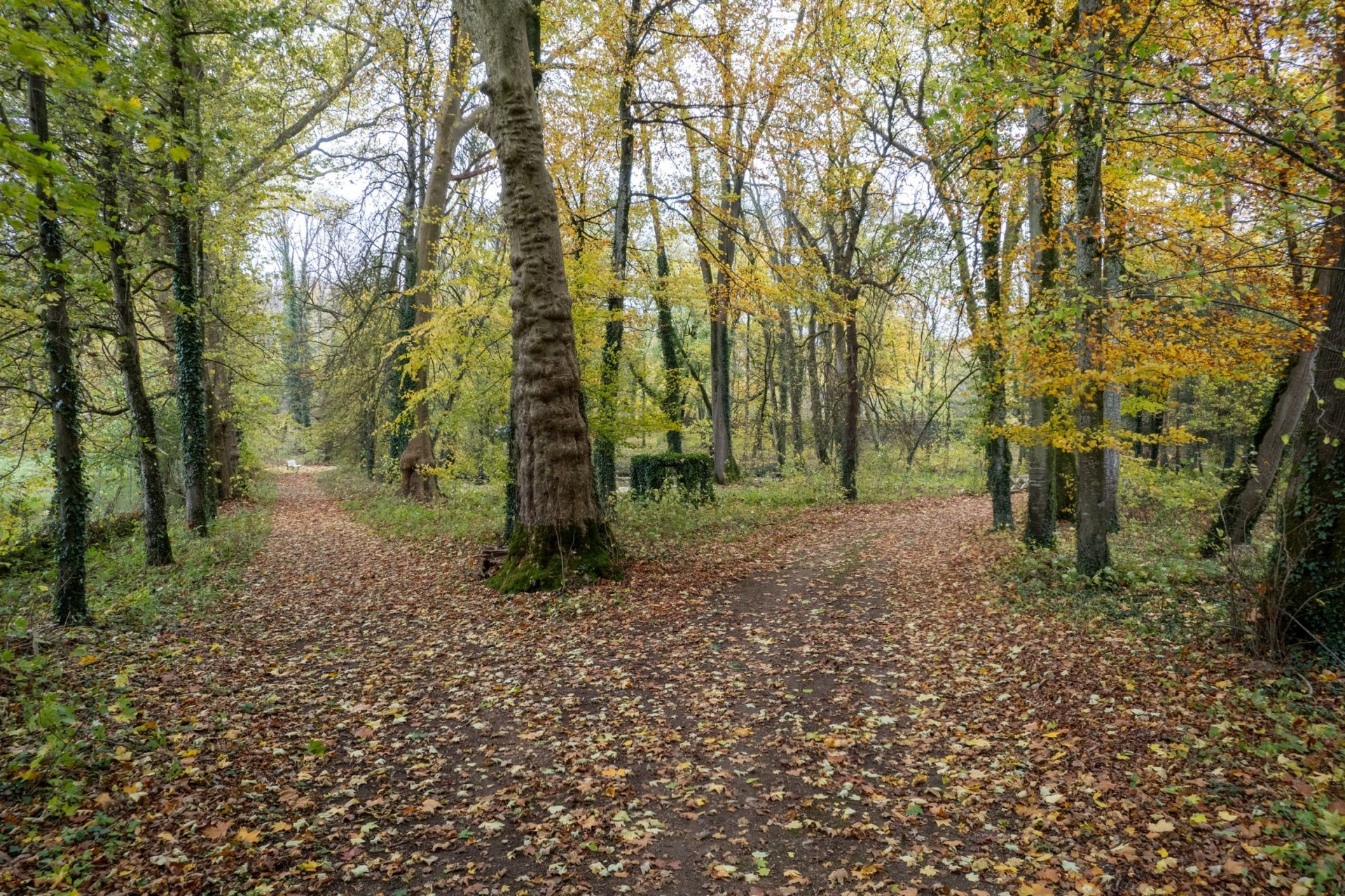 château 36 pièces en vente à CHAUMONT (52000)