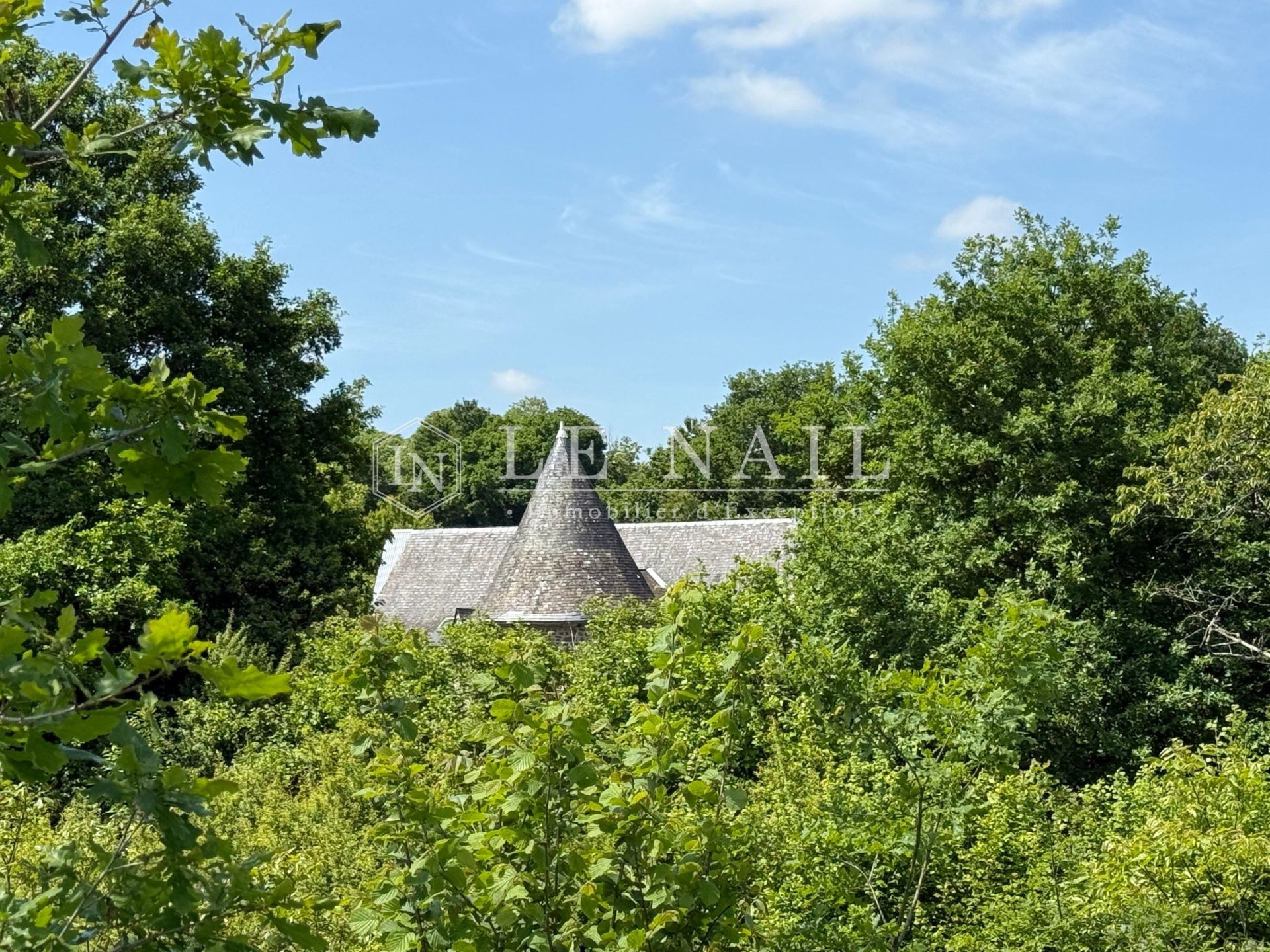 manoir 8 pièces en vente à MAYENNE (53100)